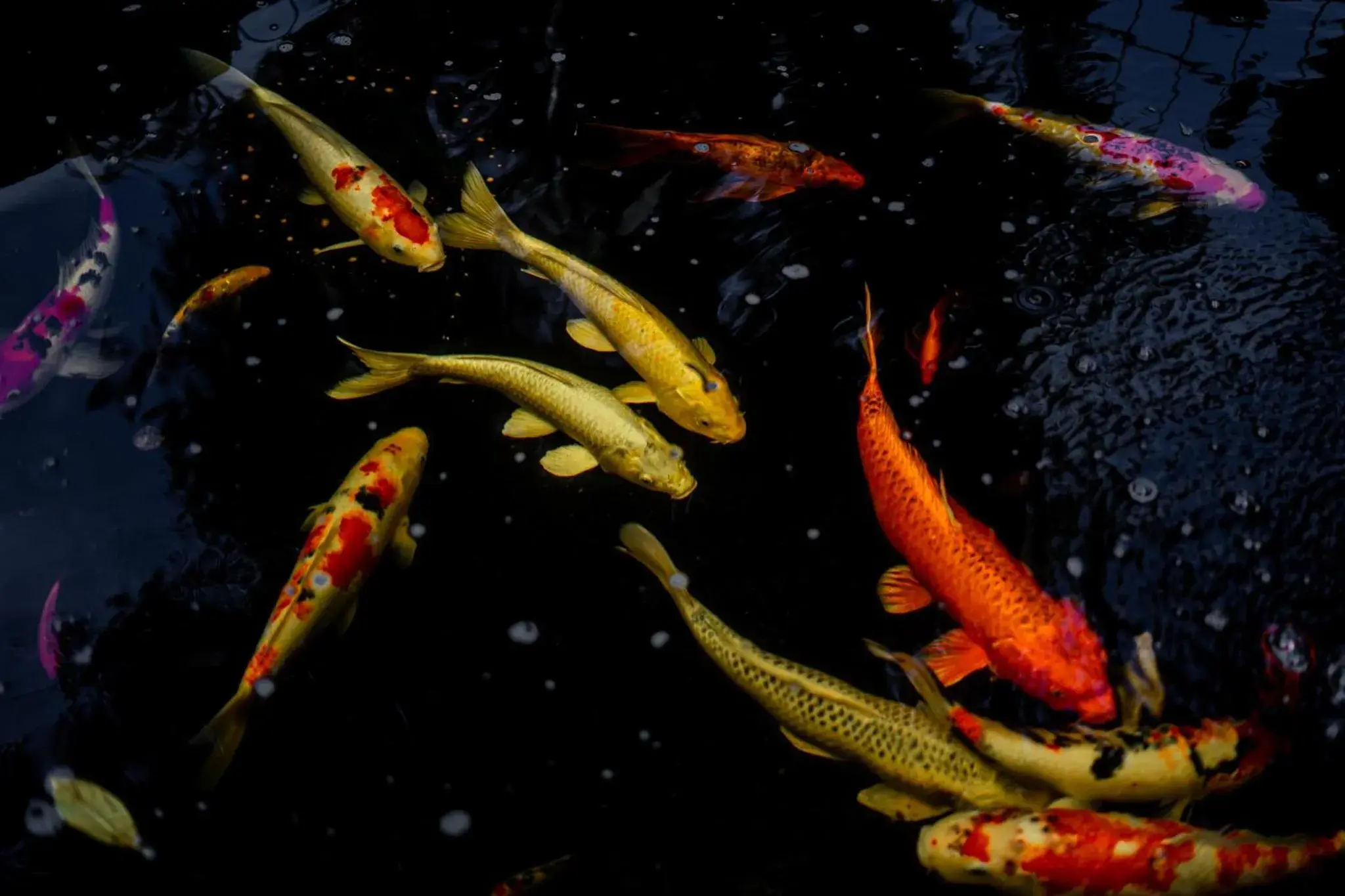 Breakfast in Villa Khoum Xieng Thong Boutique Breakfast in Villa Khoum Xieng Thong Boutique