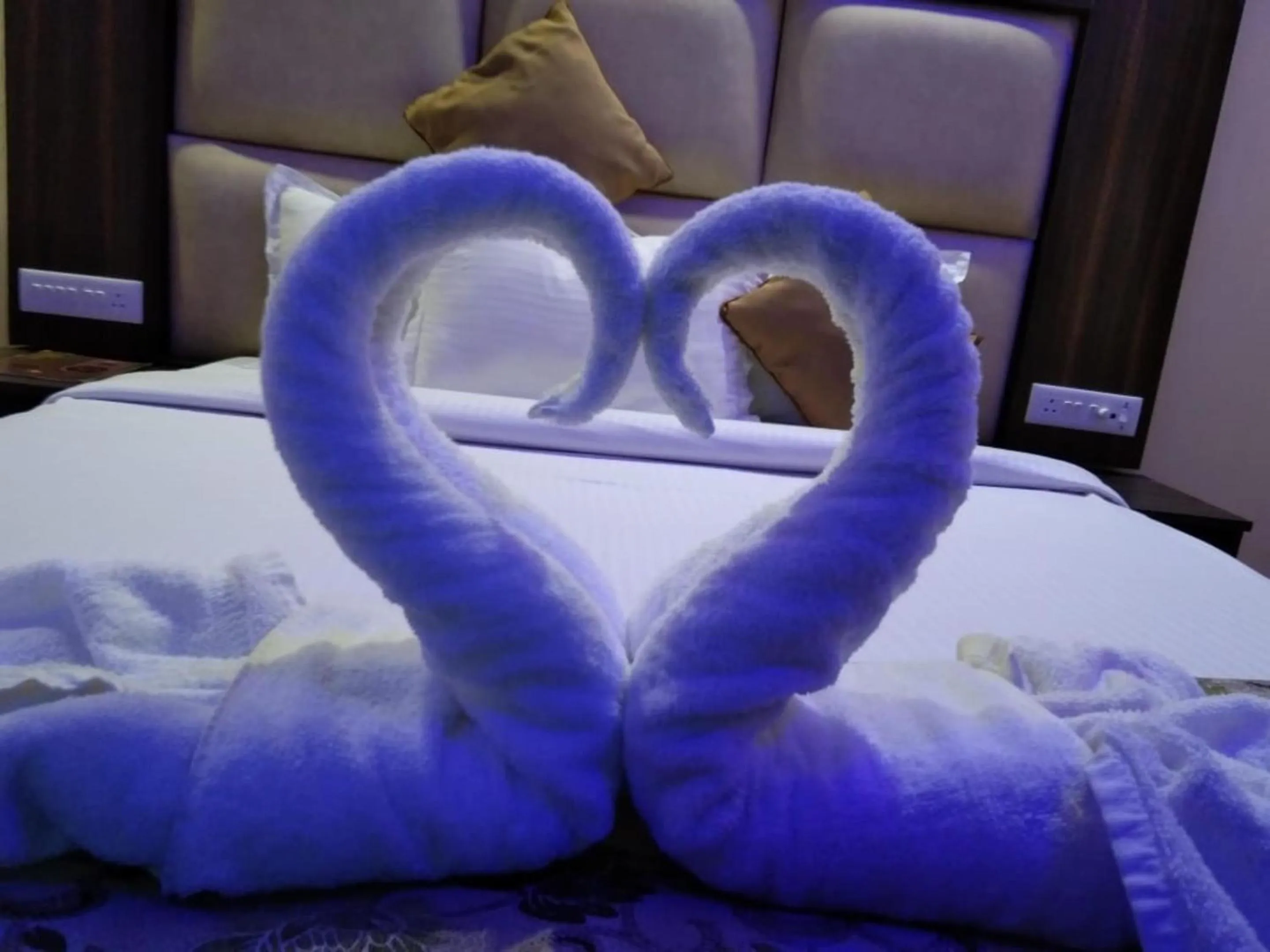 Bed in Gold India Beach Resort