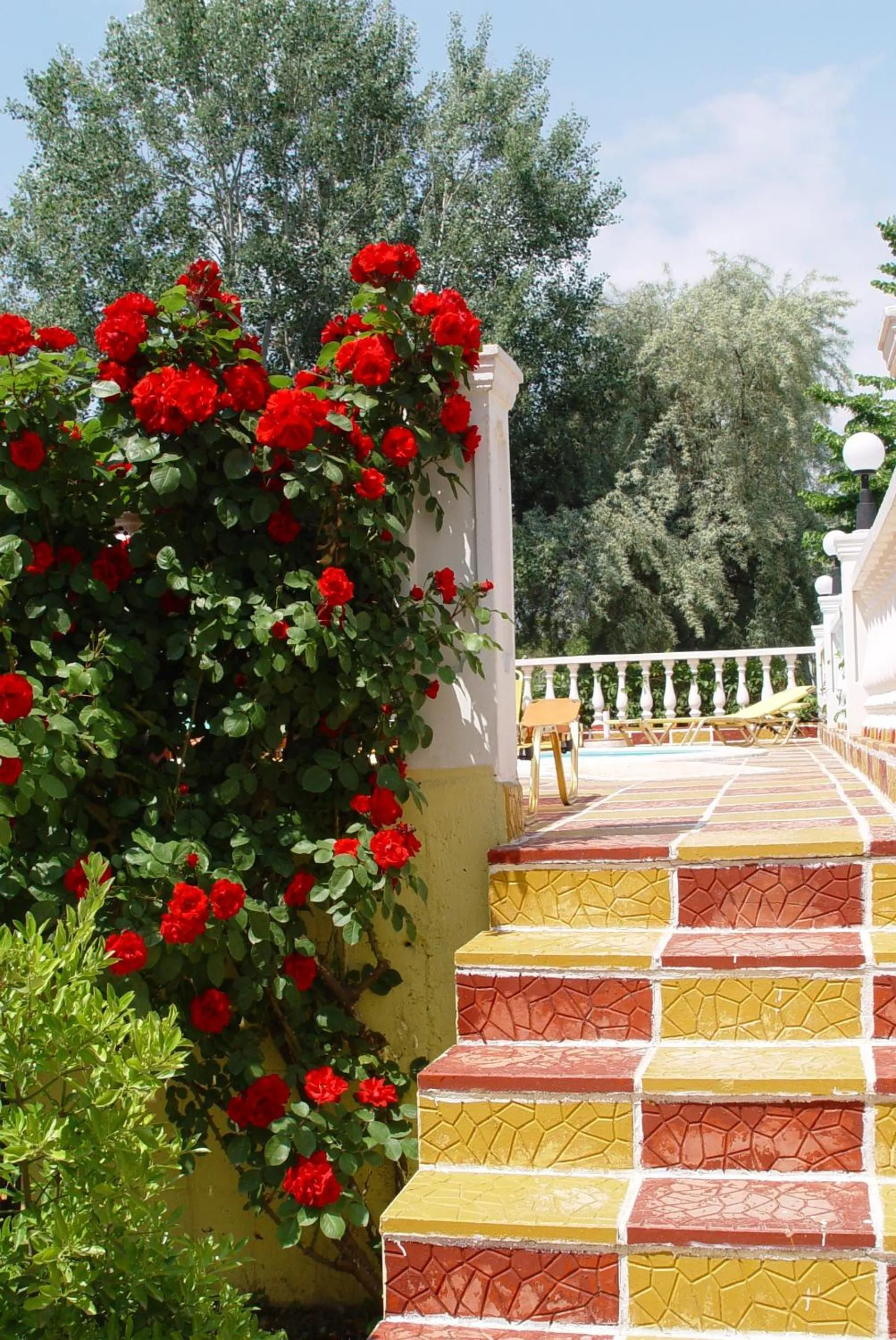 Spring in Agali Hotel