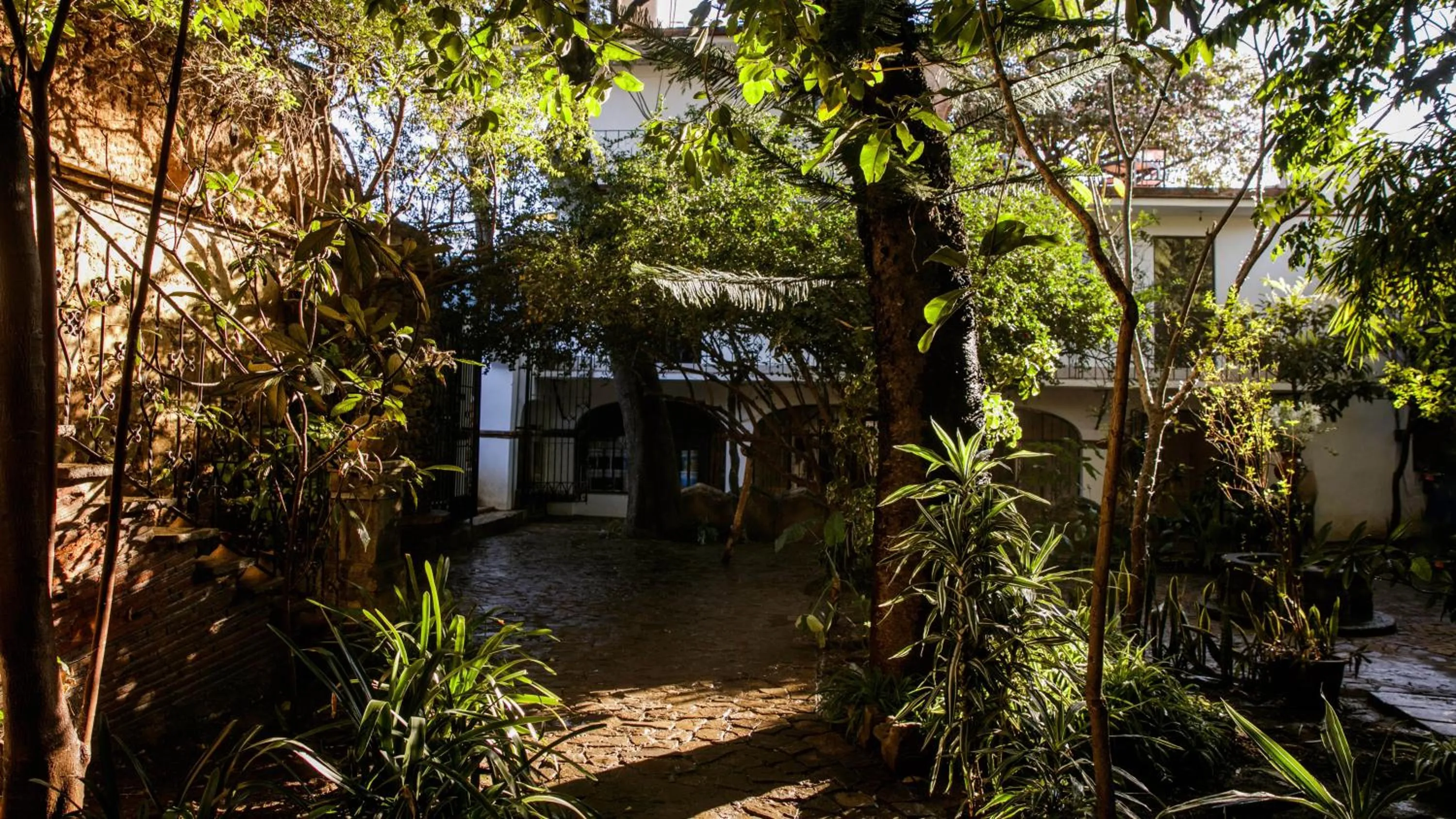 Garden in Agrado Guest House