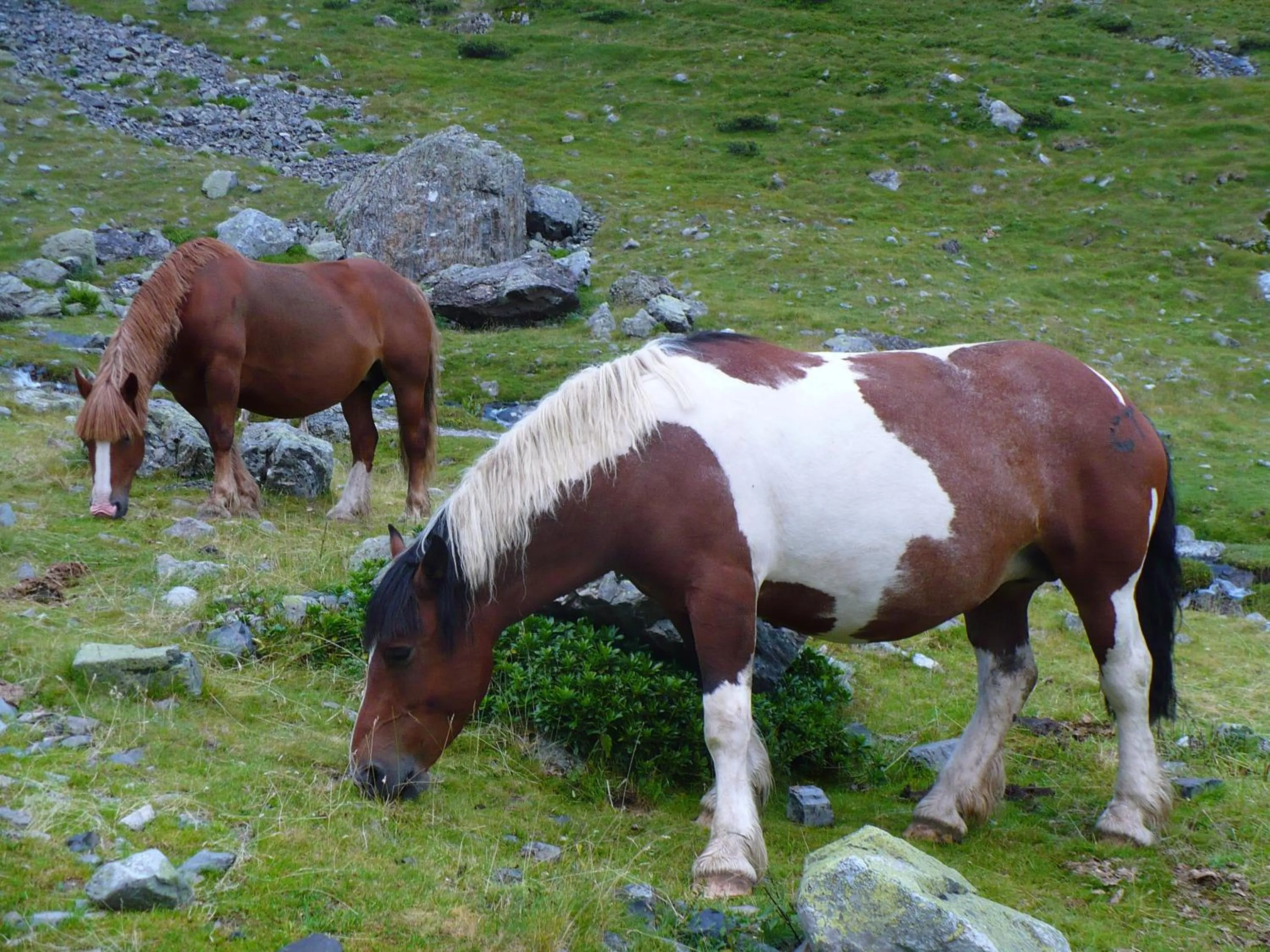 Activities in El Churrón