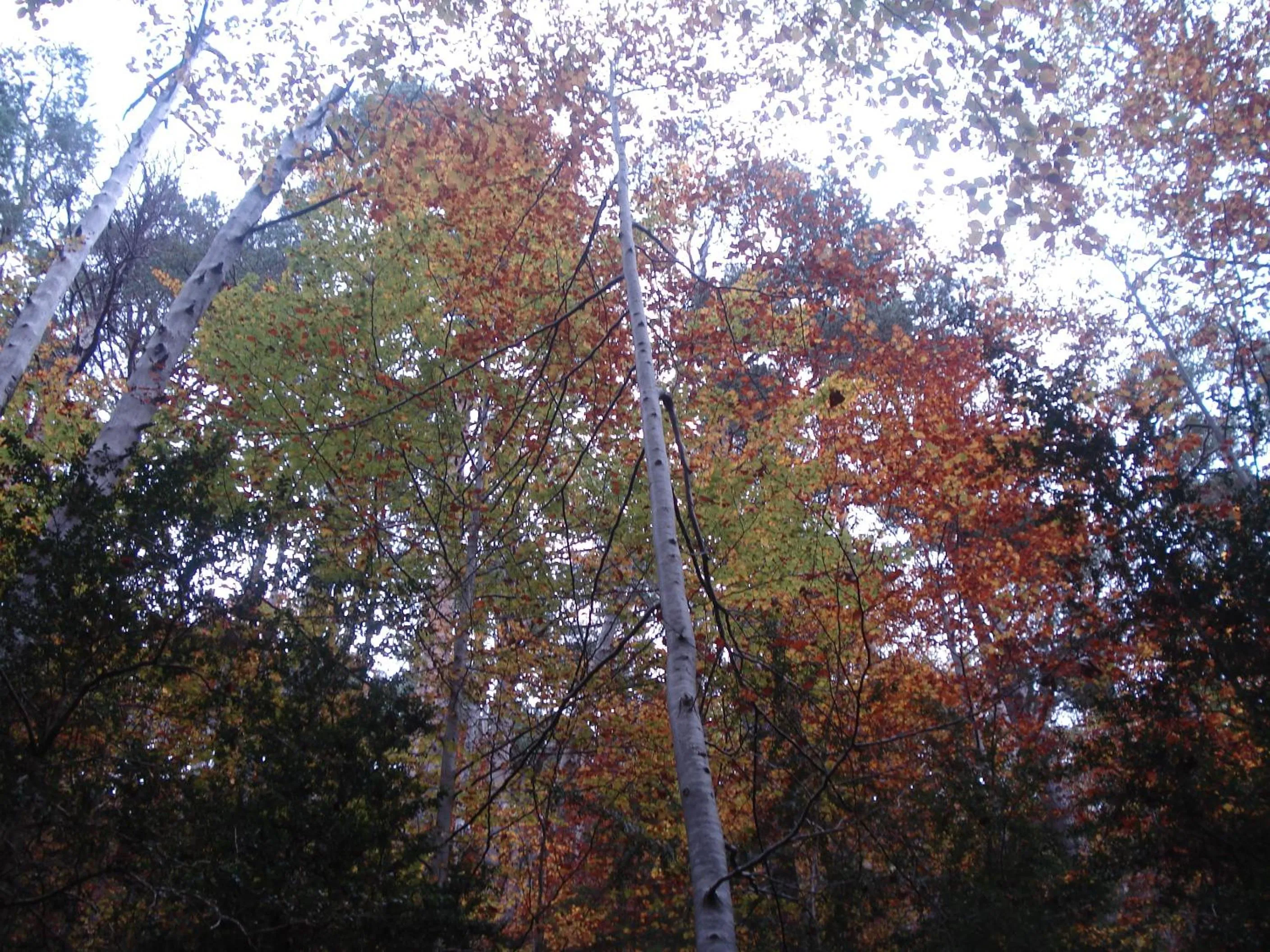 Hiking in El Churrón