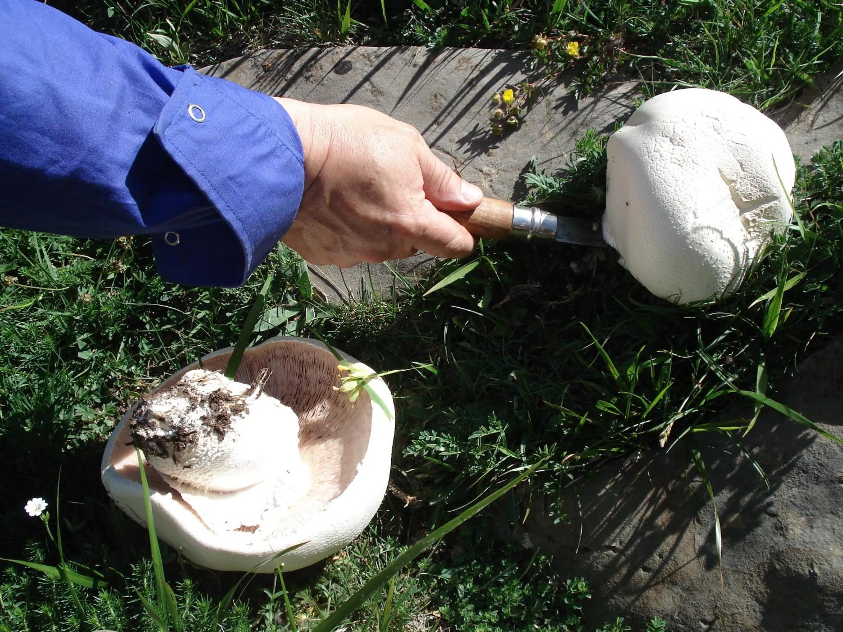 Activities in El Churrón