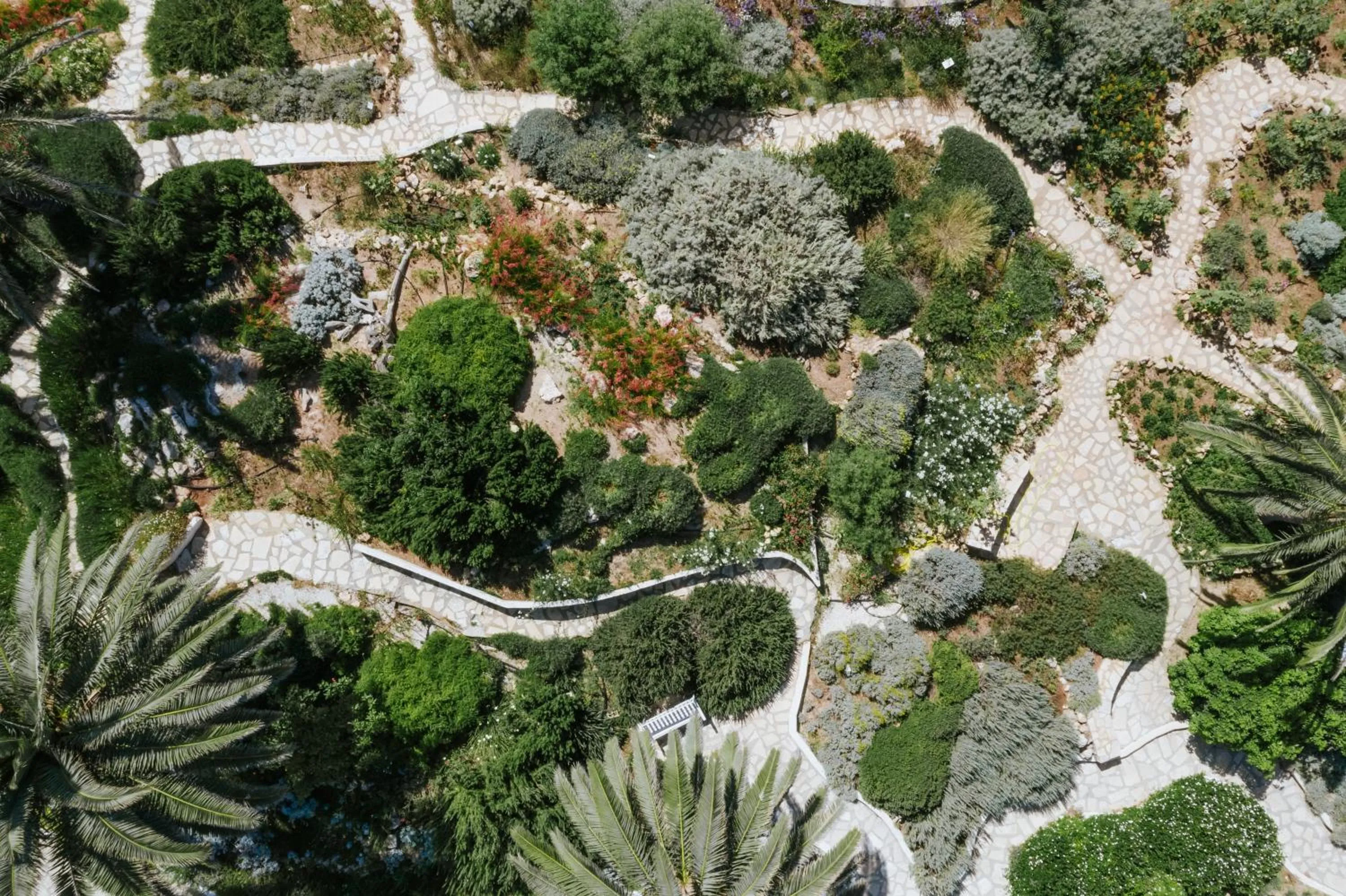 Bird's eye view in Nissi Beach Resort