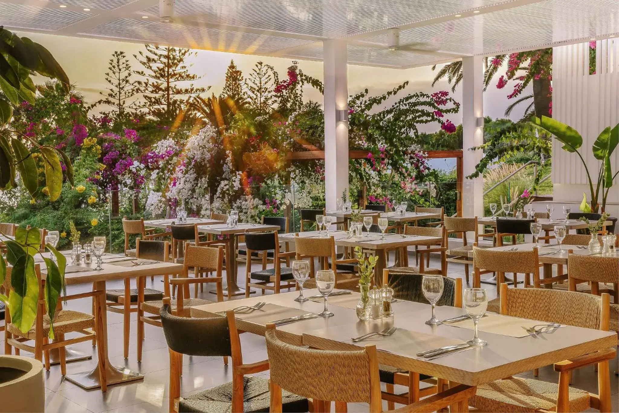 Restaurant/places to eat in Nissi Beach Resort Restaurant/places to eat in Nissi Beach Resort