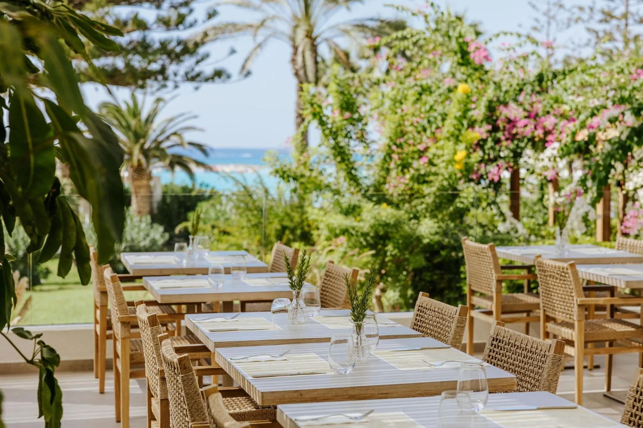 Restaurant/places to eat in Nissi Beach Resort