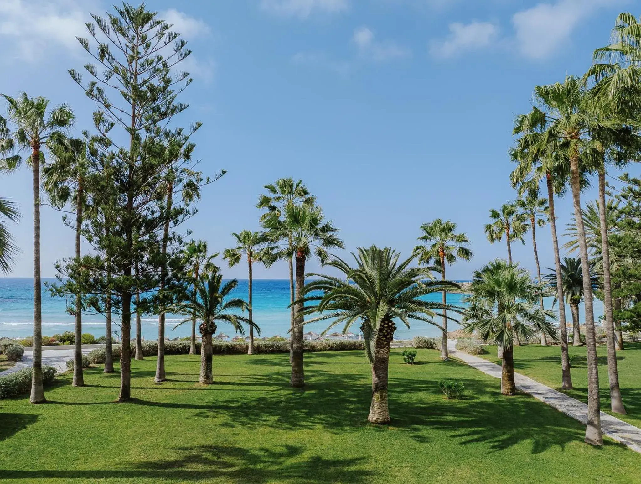 View (from property/room) in Nissi Beach Resort View (from property/room) in Nissi Beach Resort