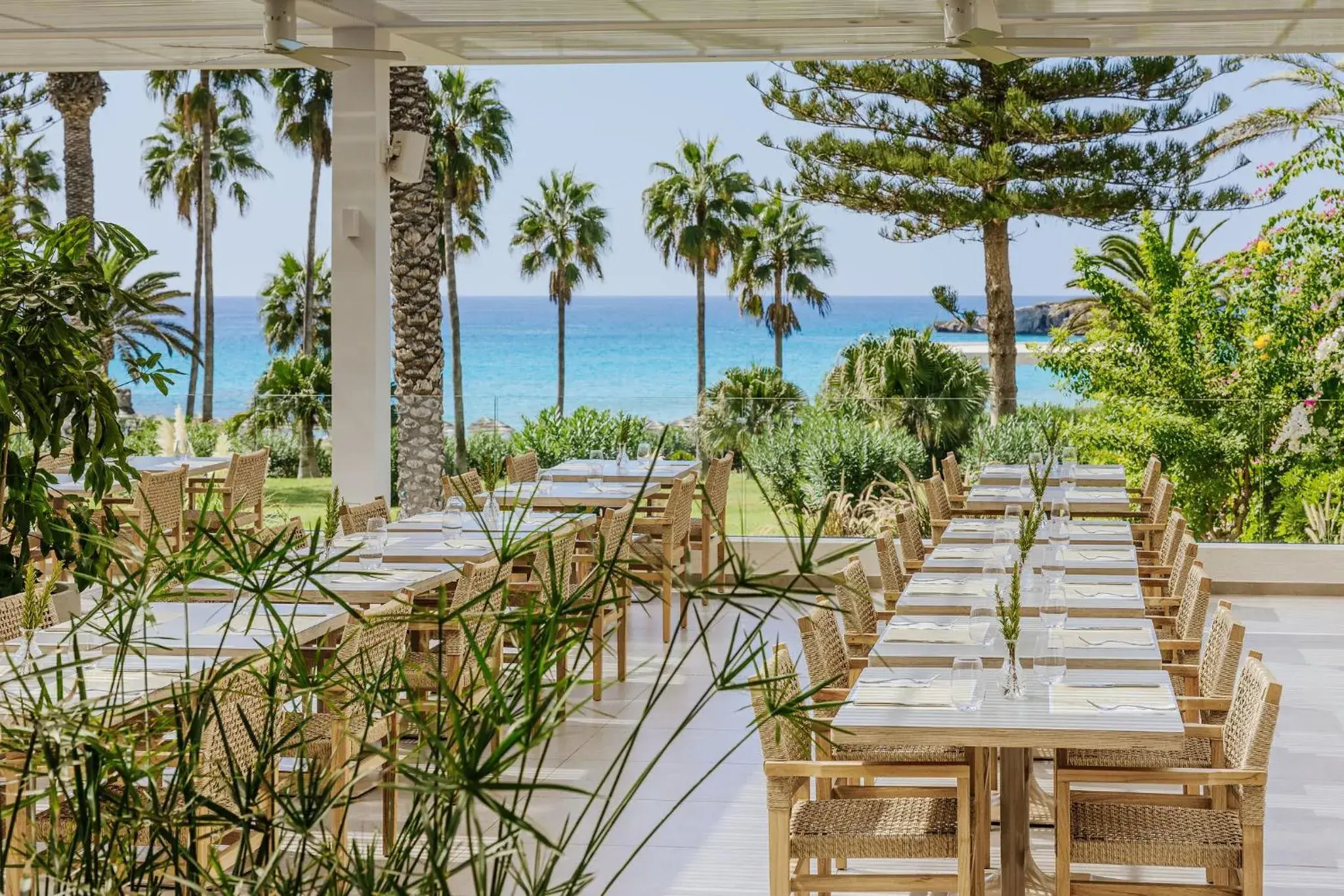 Restaurant/places to eat in Nissi Beach Resort Restaurant/places to eat in Nissi Beach Resort