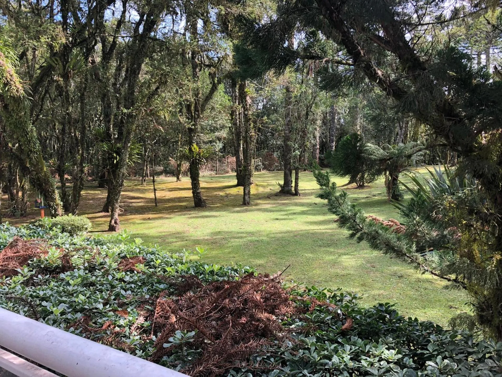 Patio in Flat Luxo Mountain Village