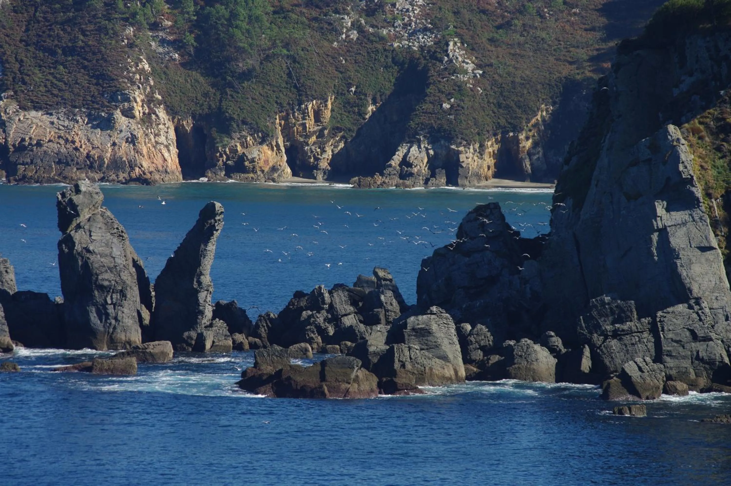 Entertainment in Hotel Rural Suquin