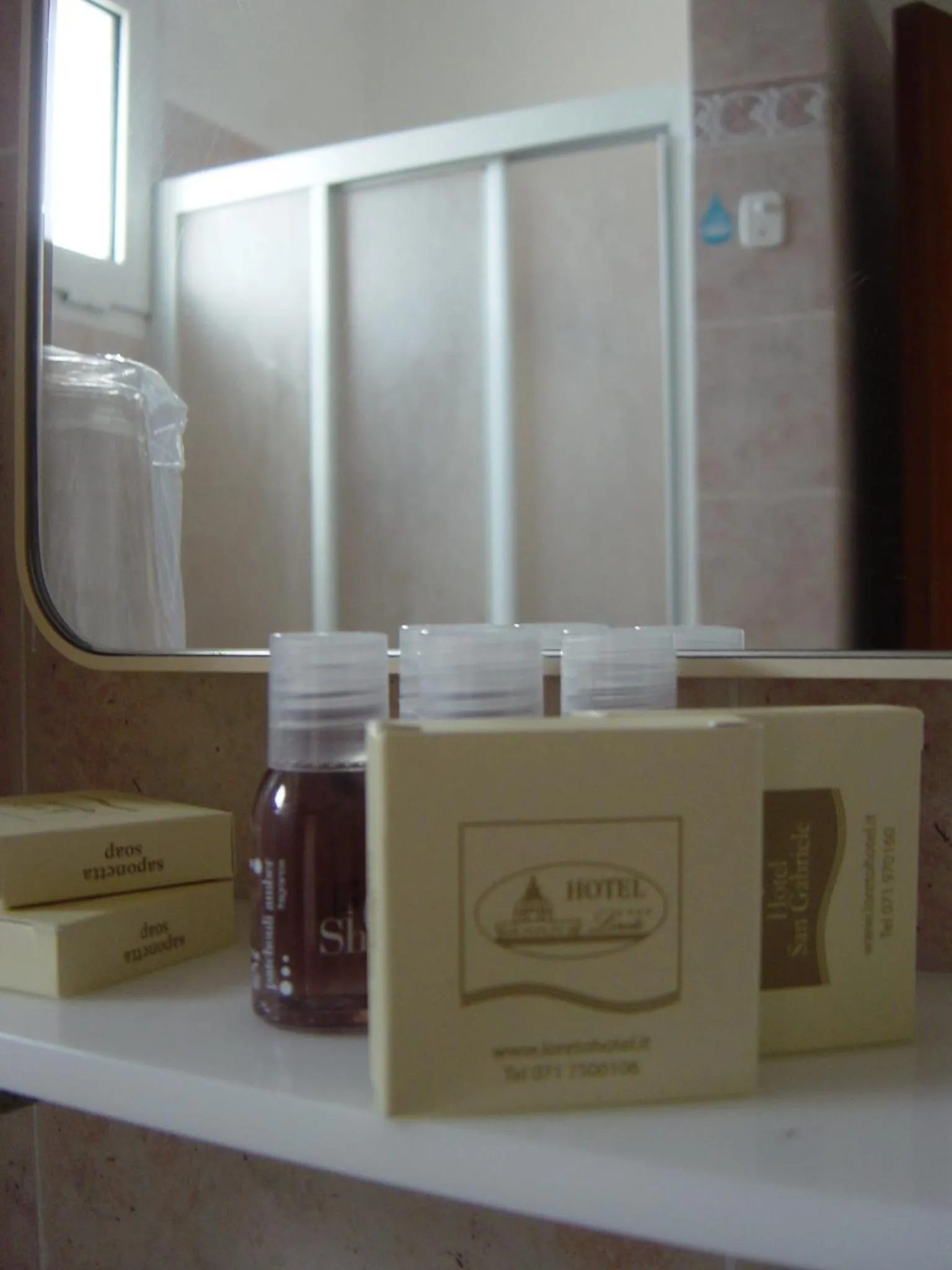 Pets in Hotel Loreto