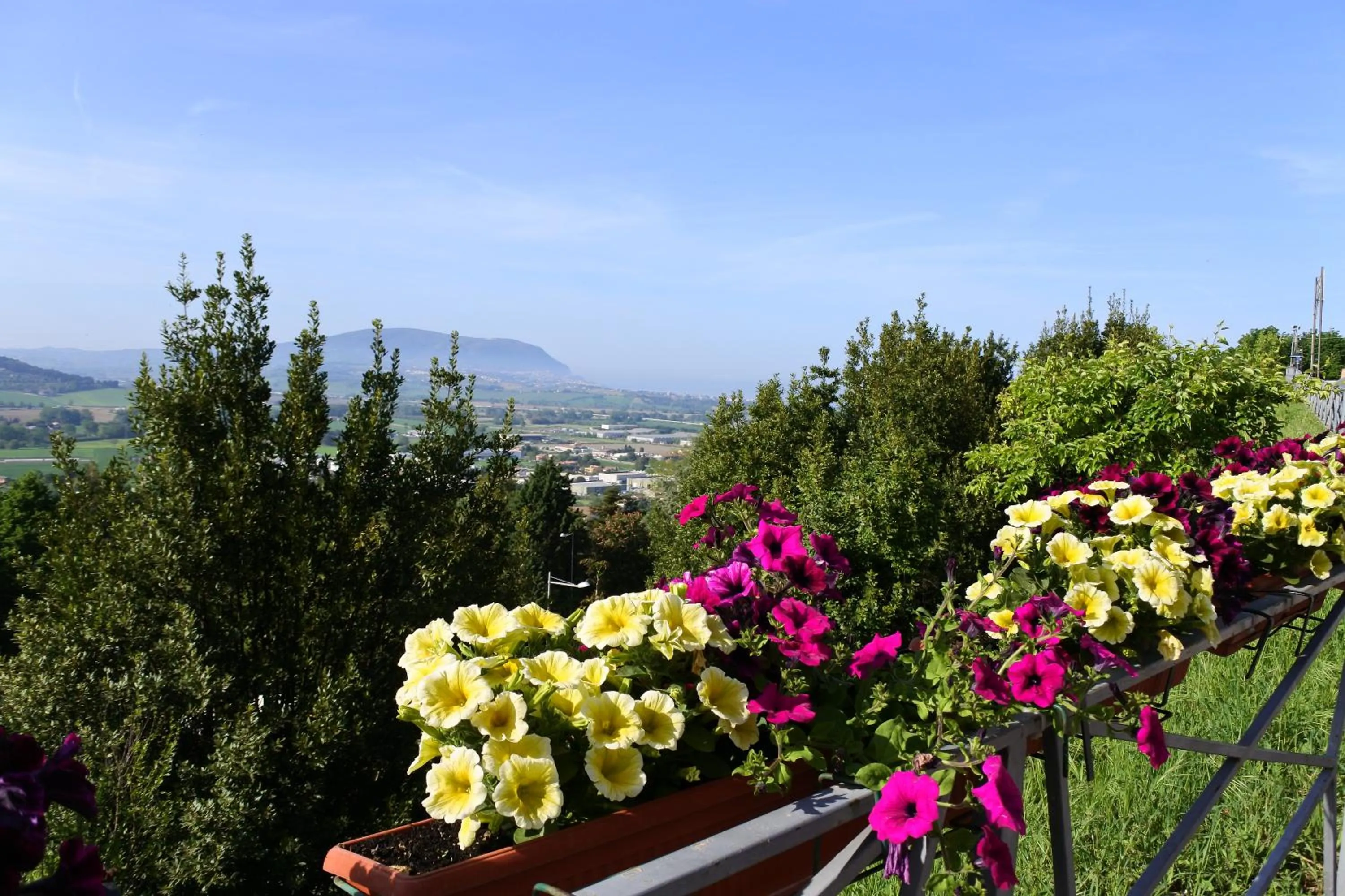 Nearby landmark in Hotel Loreto