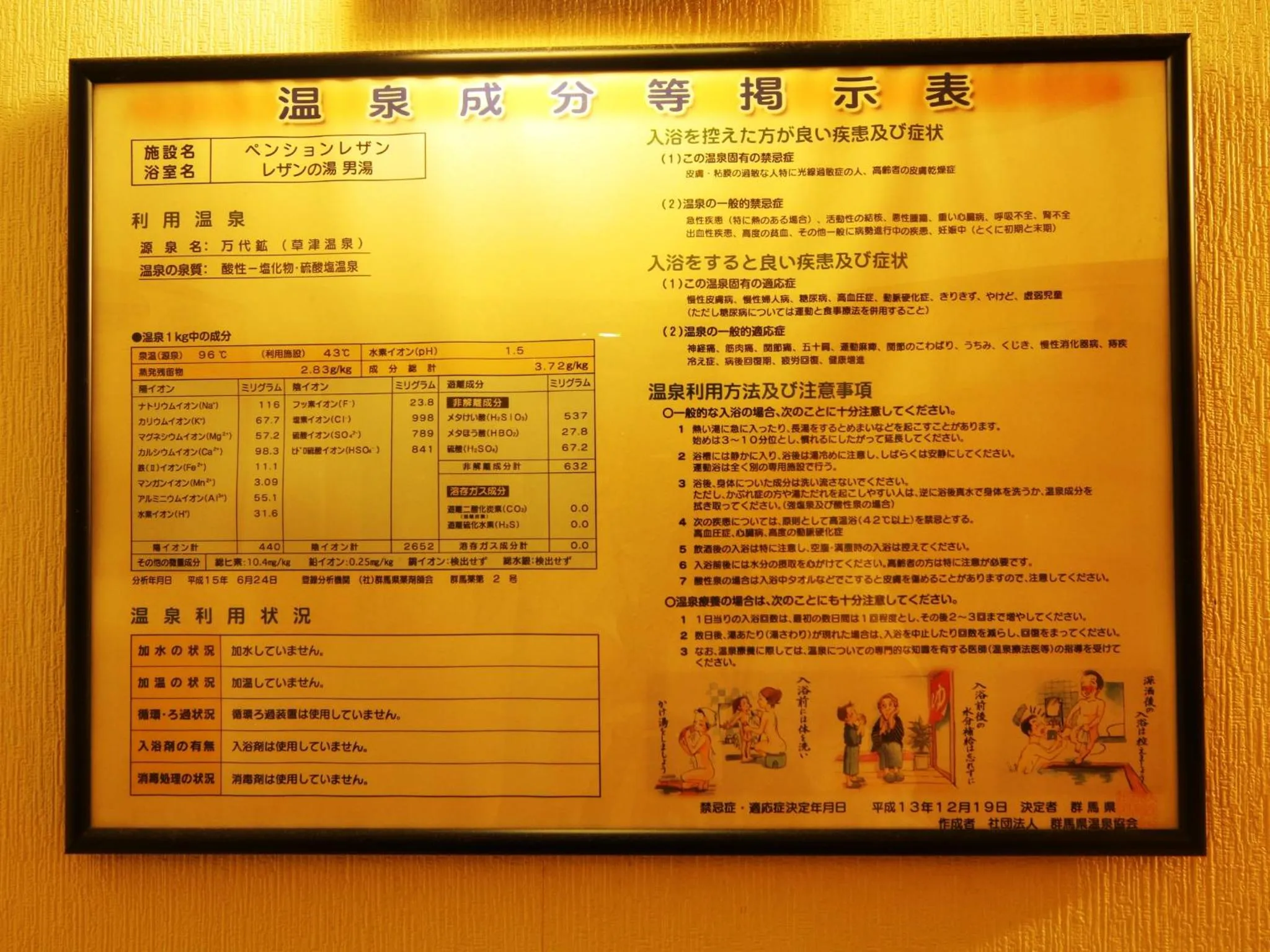 Spa and wellness centre/facilities in Pension Raisin