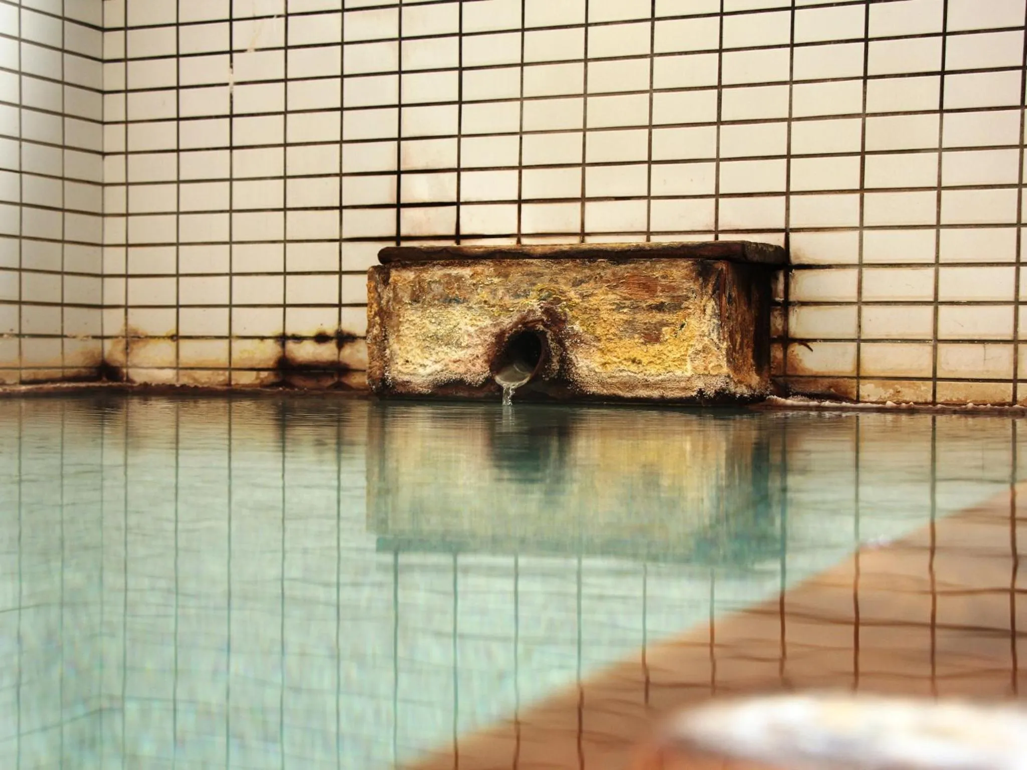 Hot Spring Bath in Pension Raisin