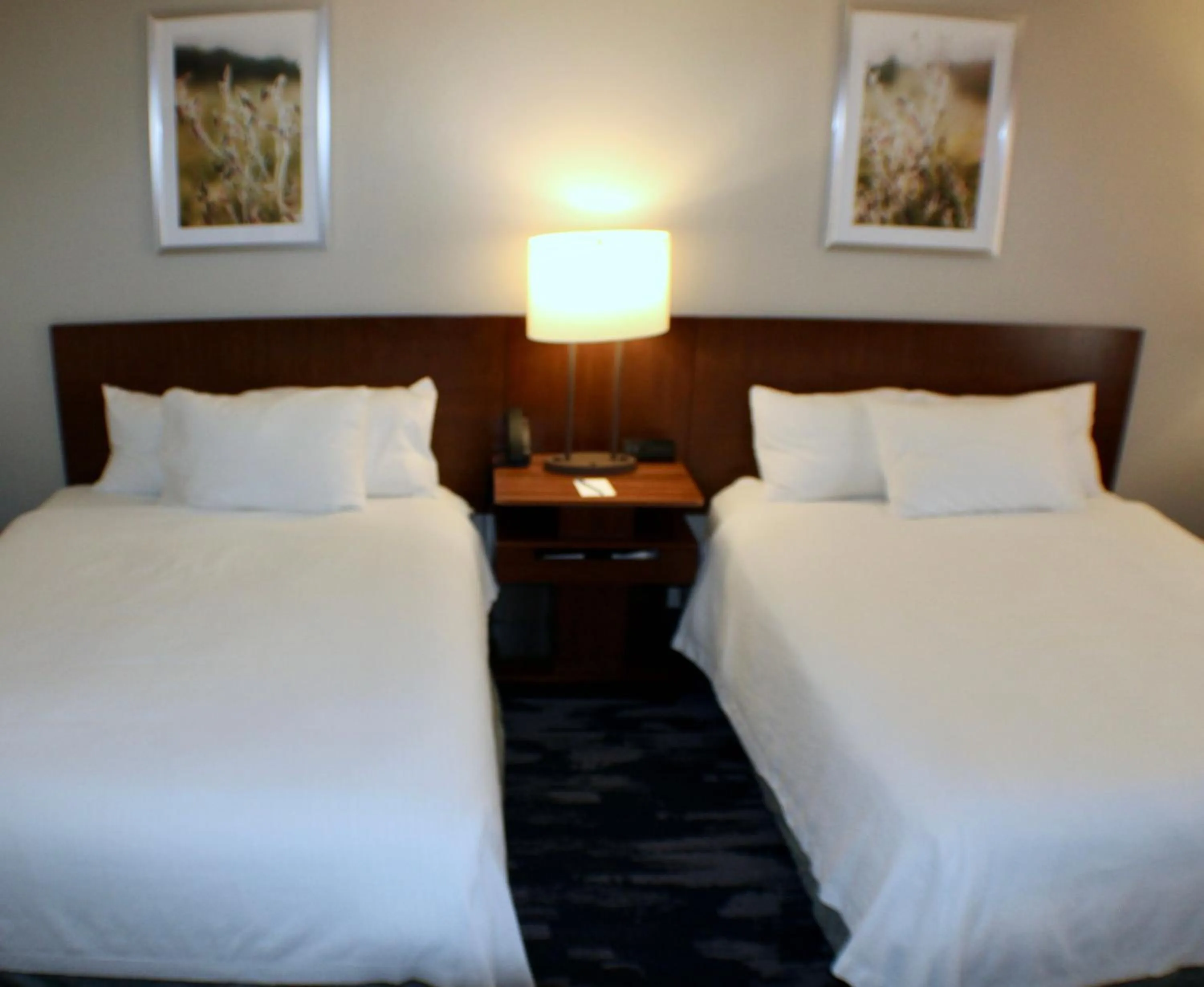 Photo of the whole room, Bed in Fairfield Inn Boise Airport