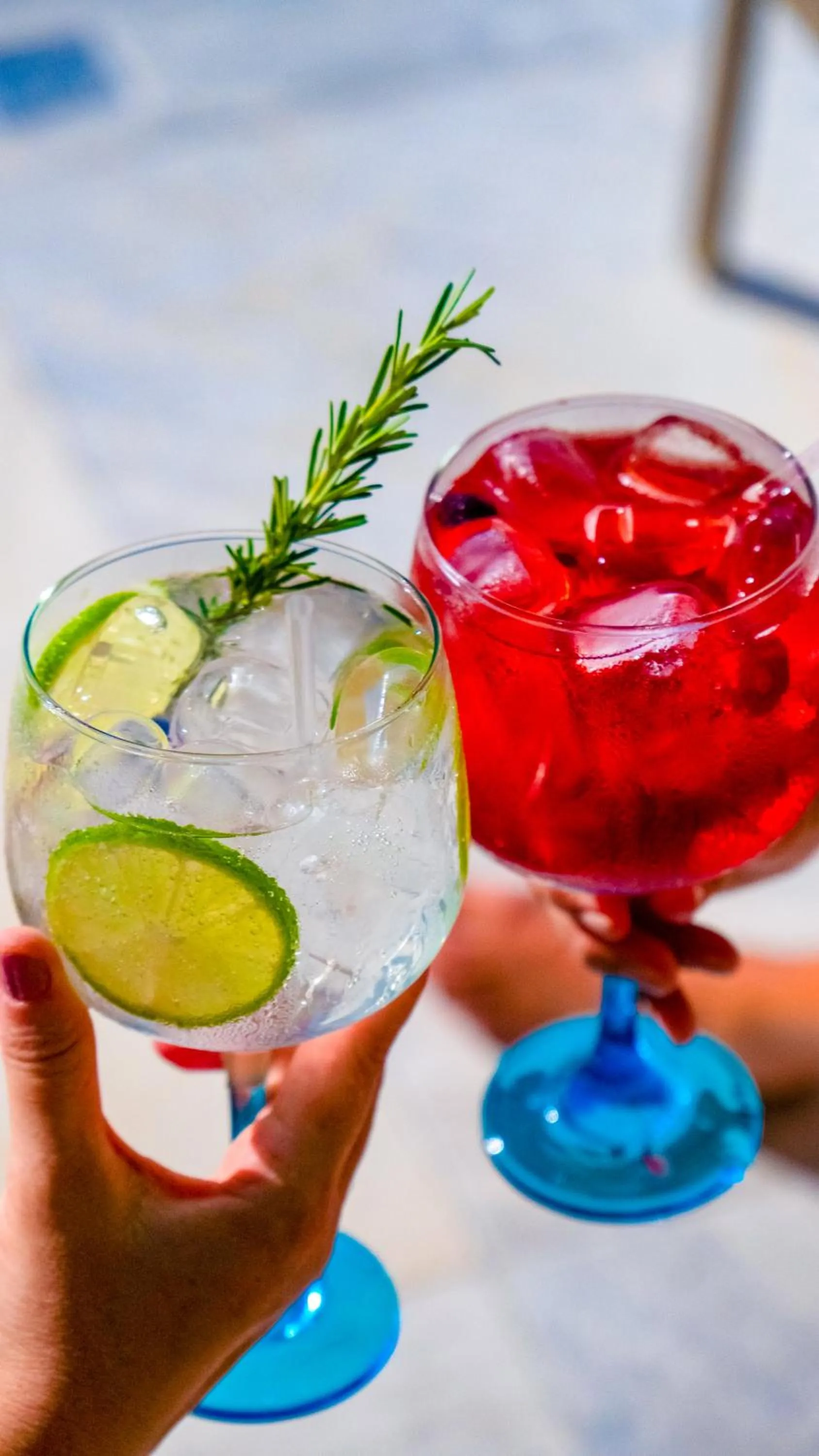 Drinks in Hotel Le Renard - Campos do Jordao