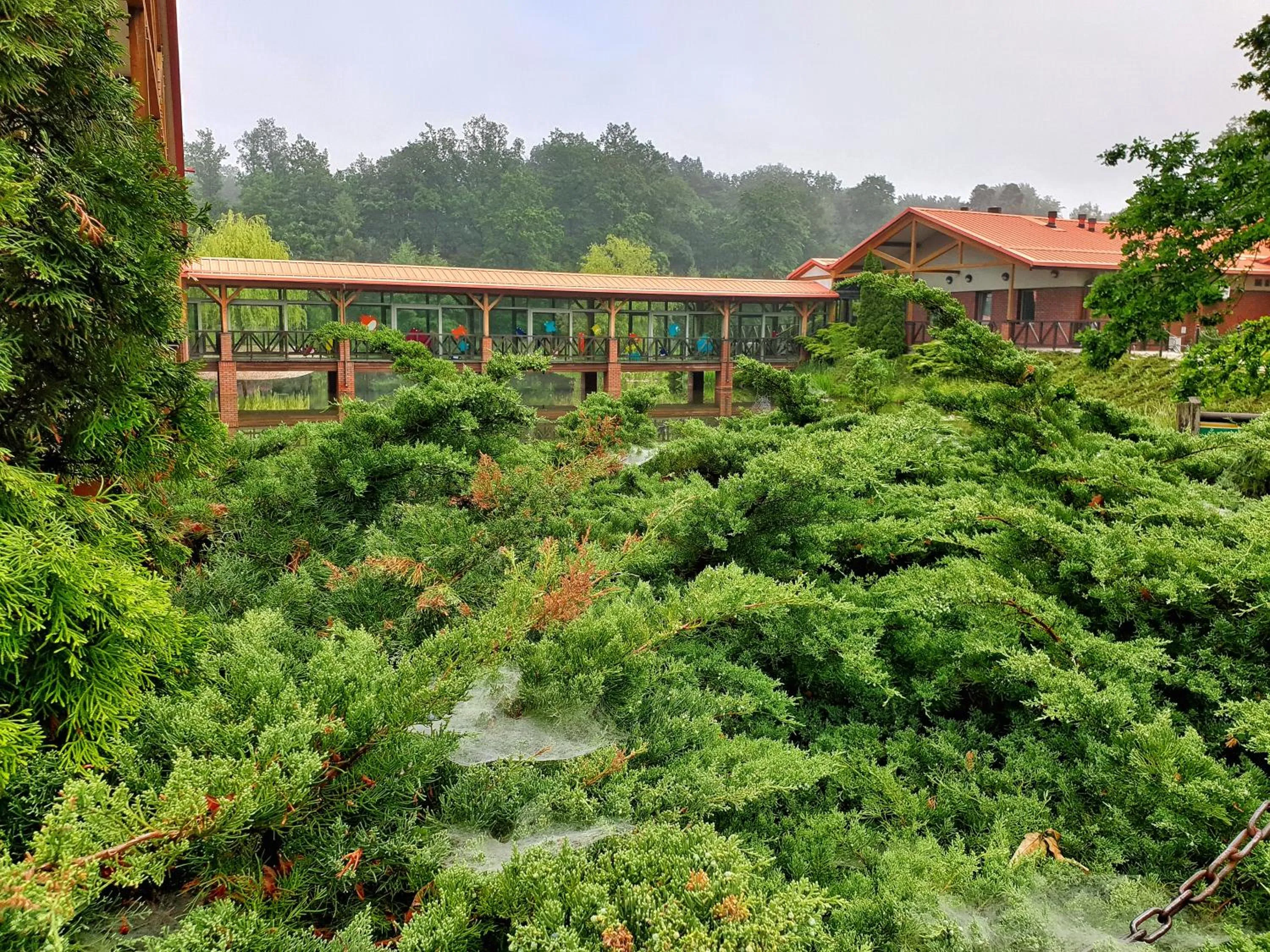 Natural landscape in Stacja Nowa Gdynia Bed & Breakfast Aquapark