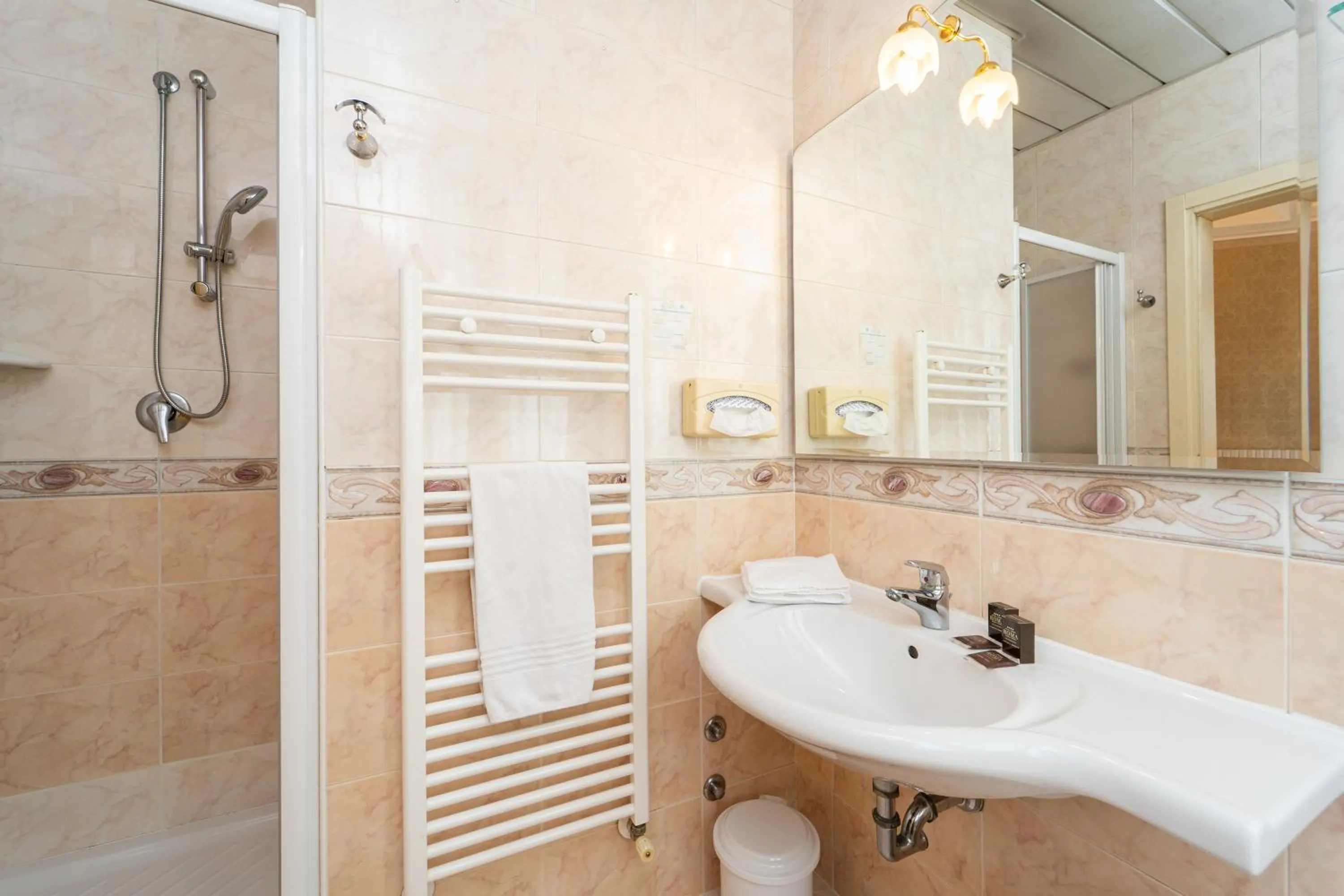 Shower in Hotel Terme Roma