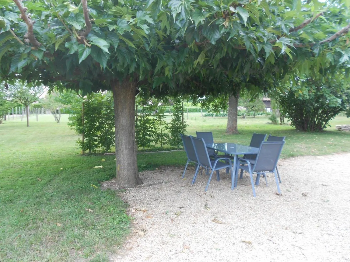 Property building in Litdevin