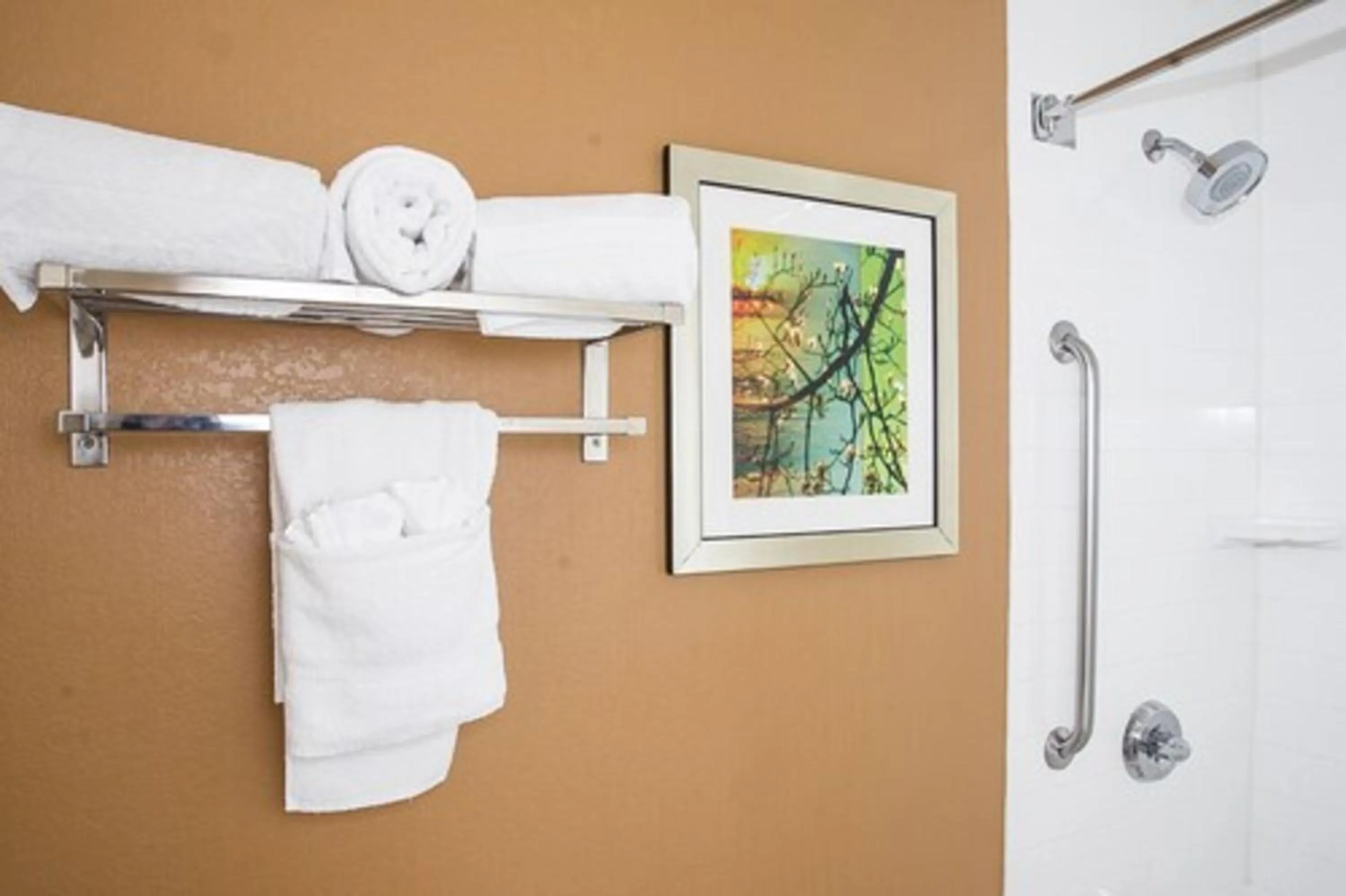 Shower in Fairfield Inn & Suites by Marriott Boston Milford