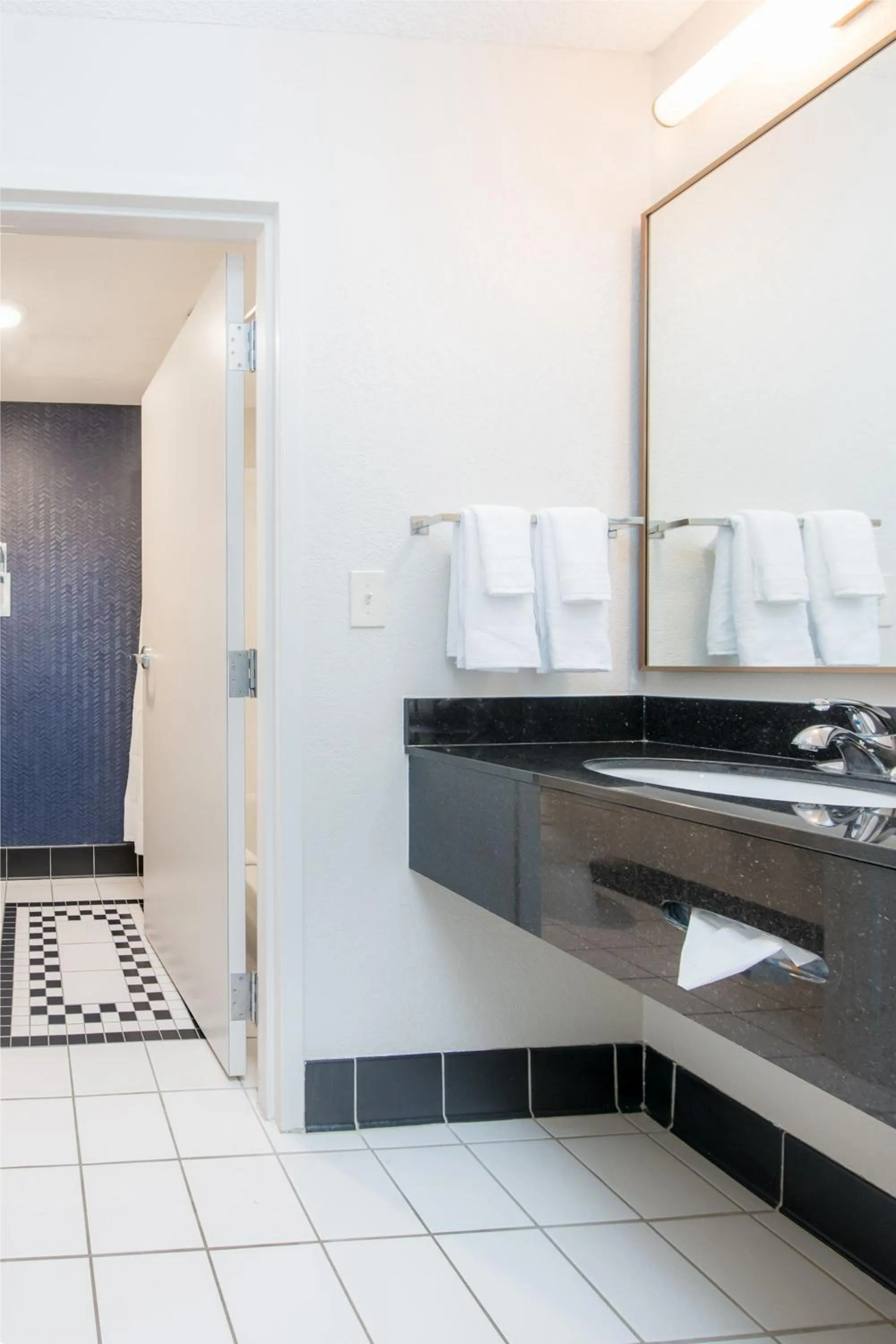 Bathroom in Fairfield Inn Suites Brunswick