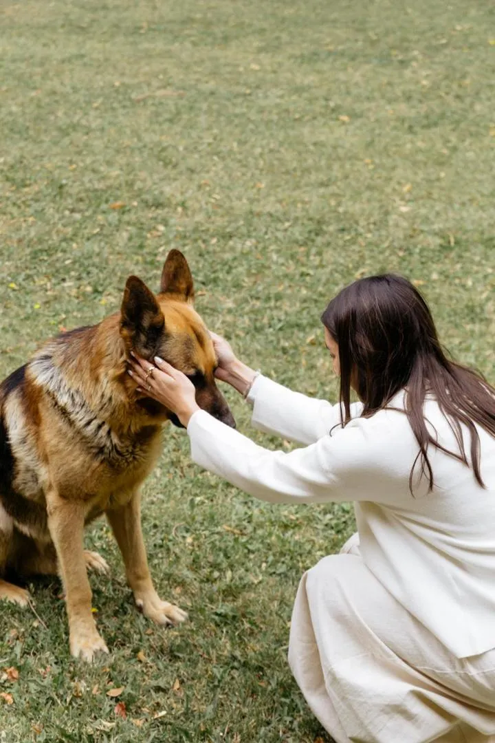 Pets in Lujan De Cuyo B&B