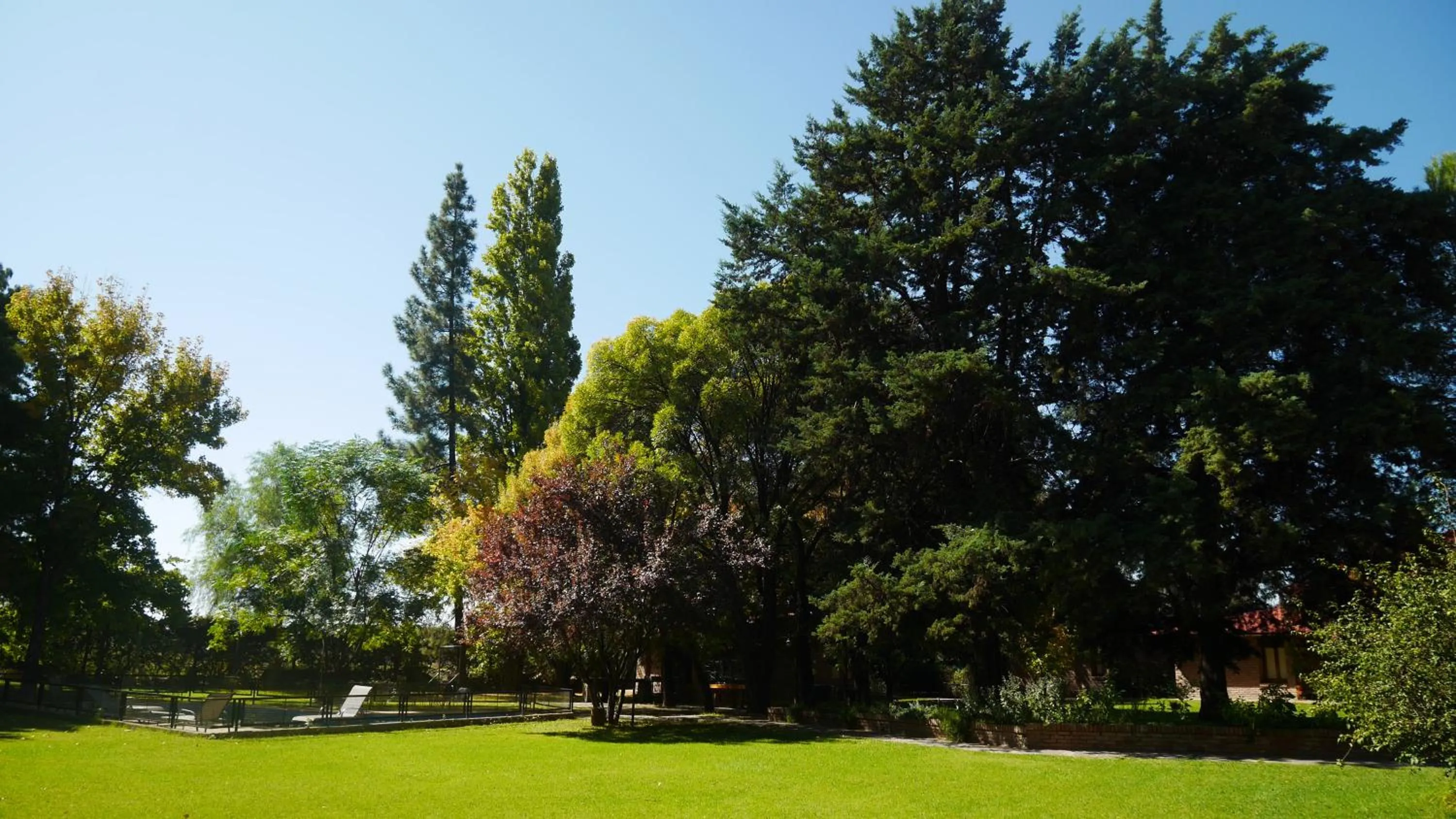 Garden in Lujan De Cuyo B&B