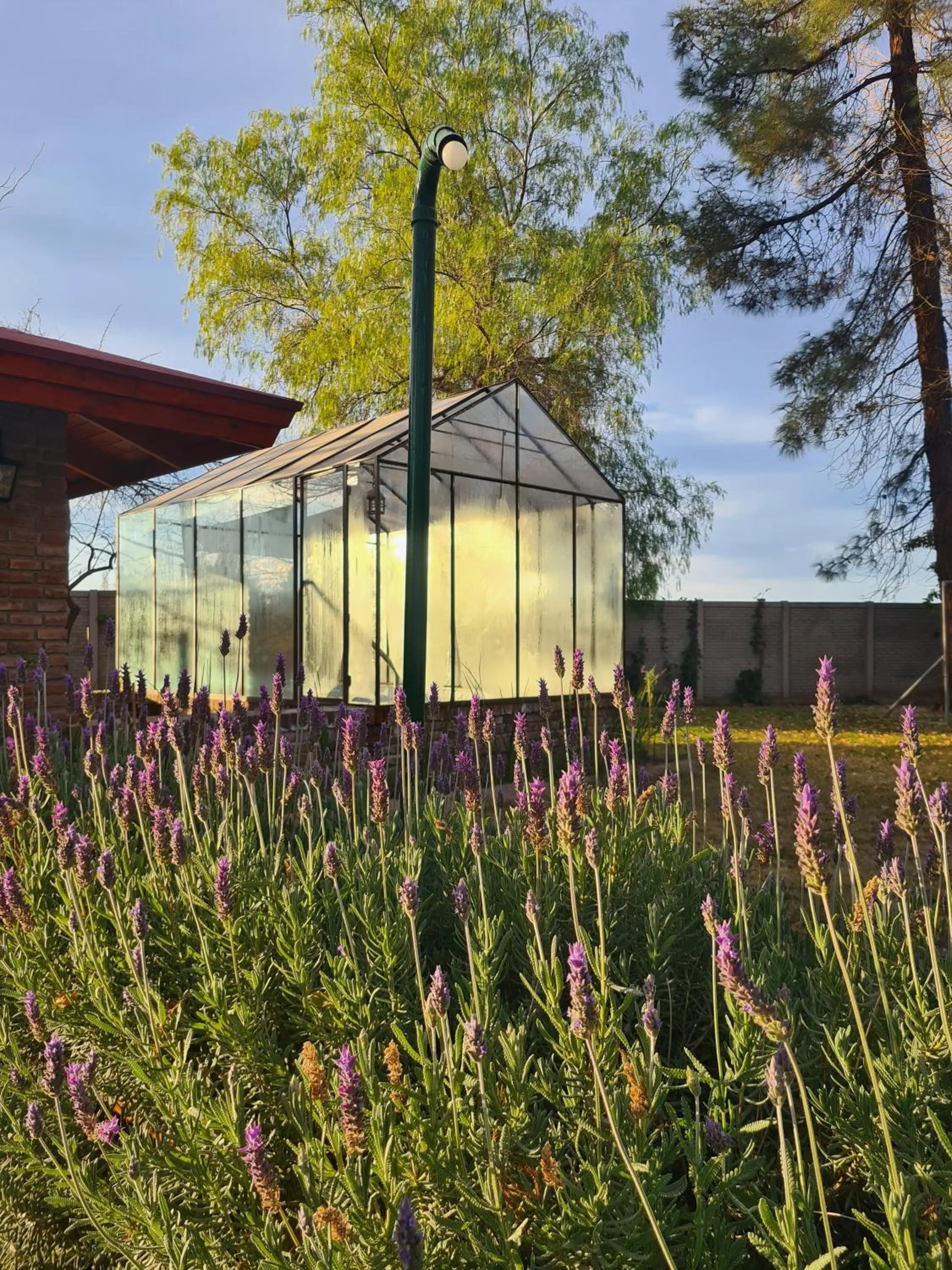 Off site in Lujan De Cuyo B&B