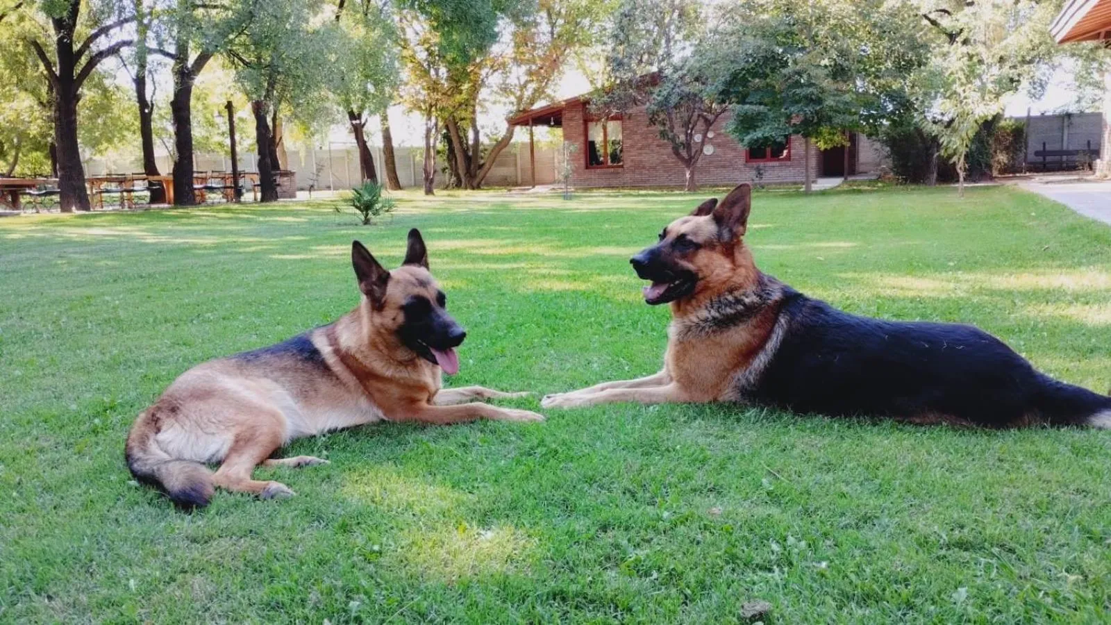 Garden in Lujan De Cuyo B&B