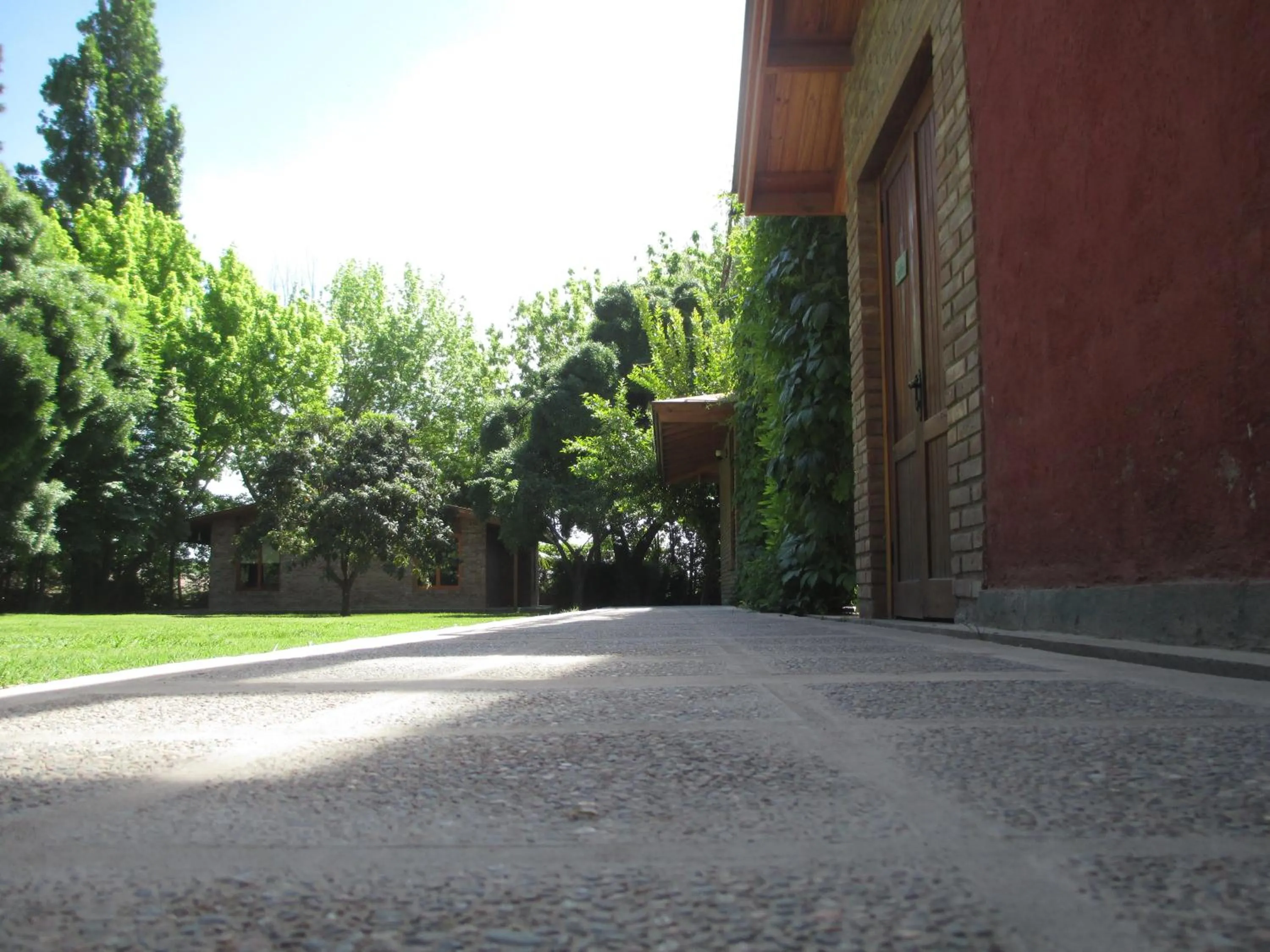 Garden in Lujan De Cuyo B&B