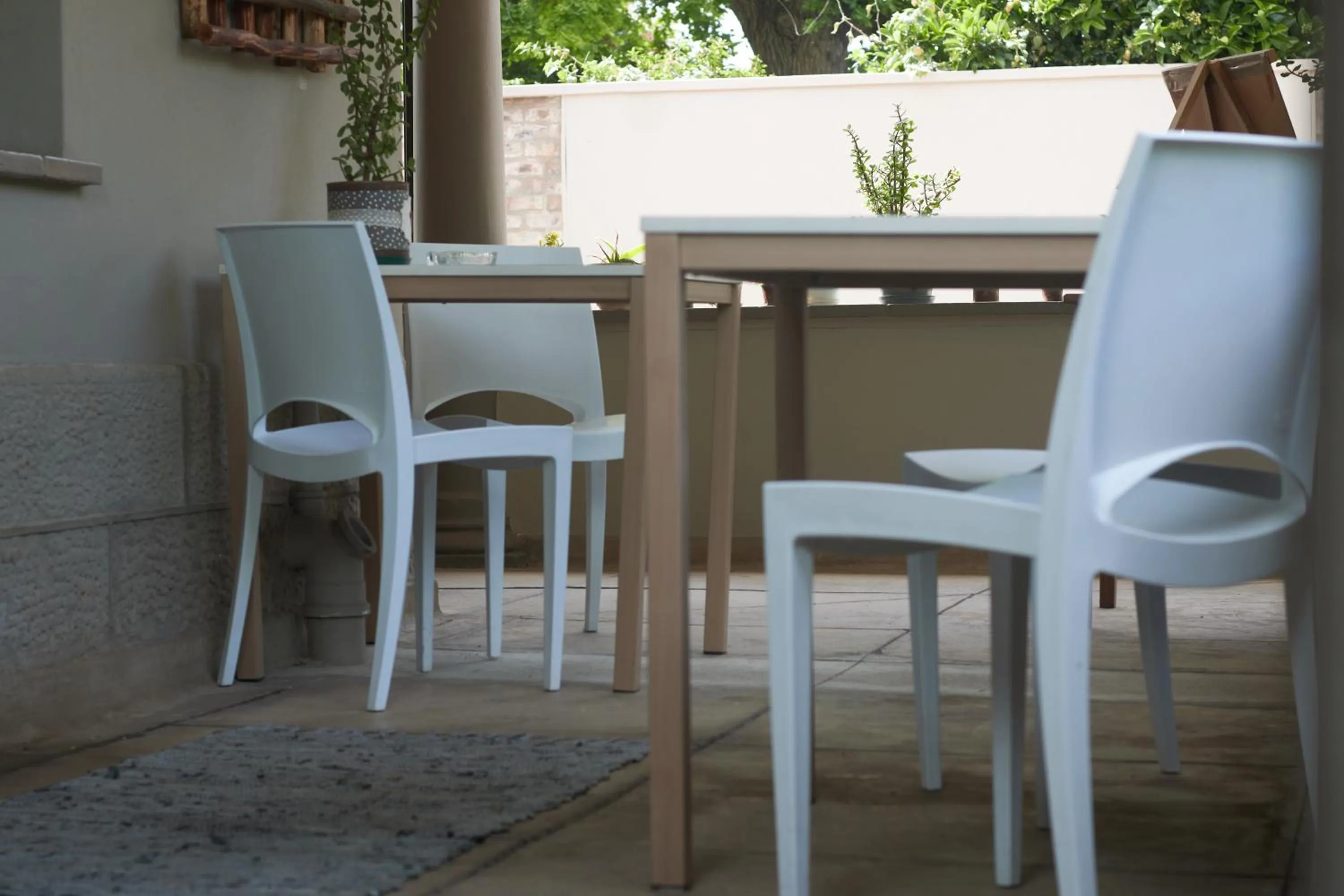 Balcony/Terrace in De Akker Guest House Oudtshoorn