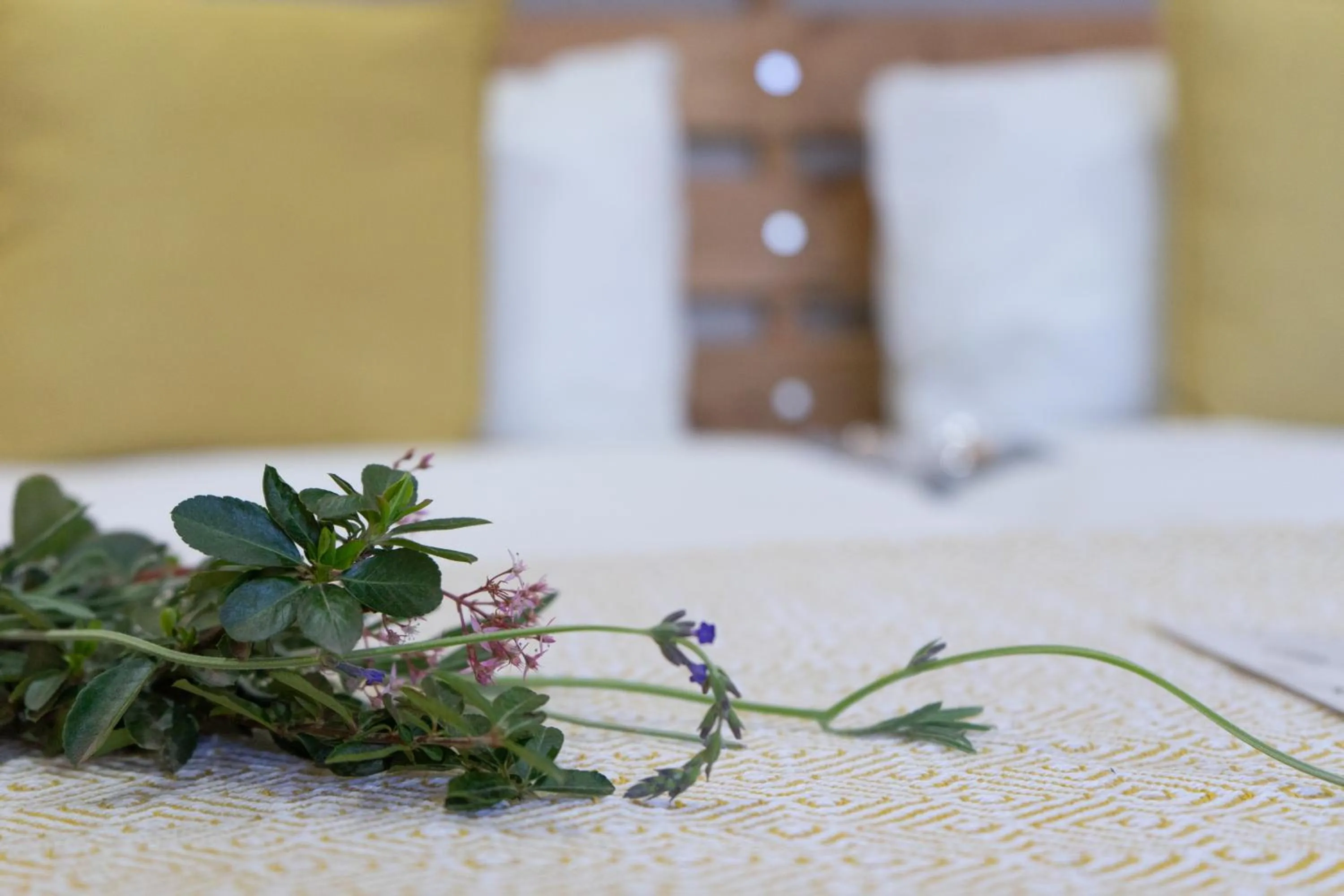 Other, Bed in De Akker Guest House Oudtshoorn