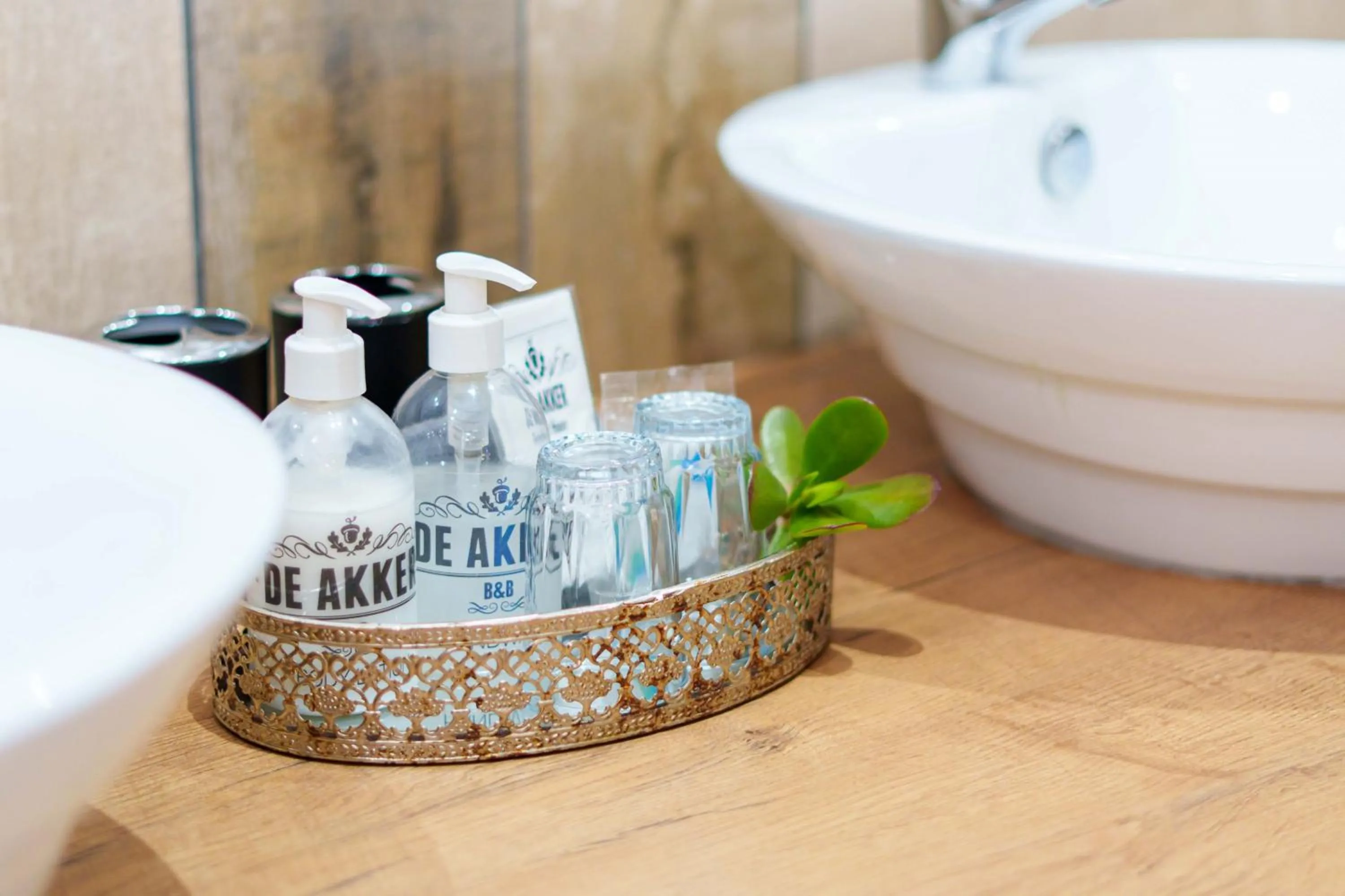 Bathroom in De Akker Guest House Oudtshoorn