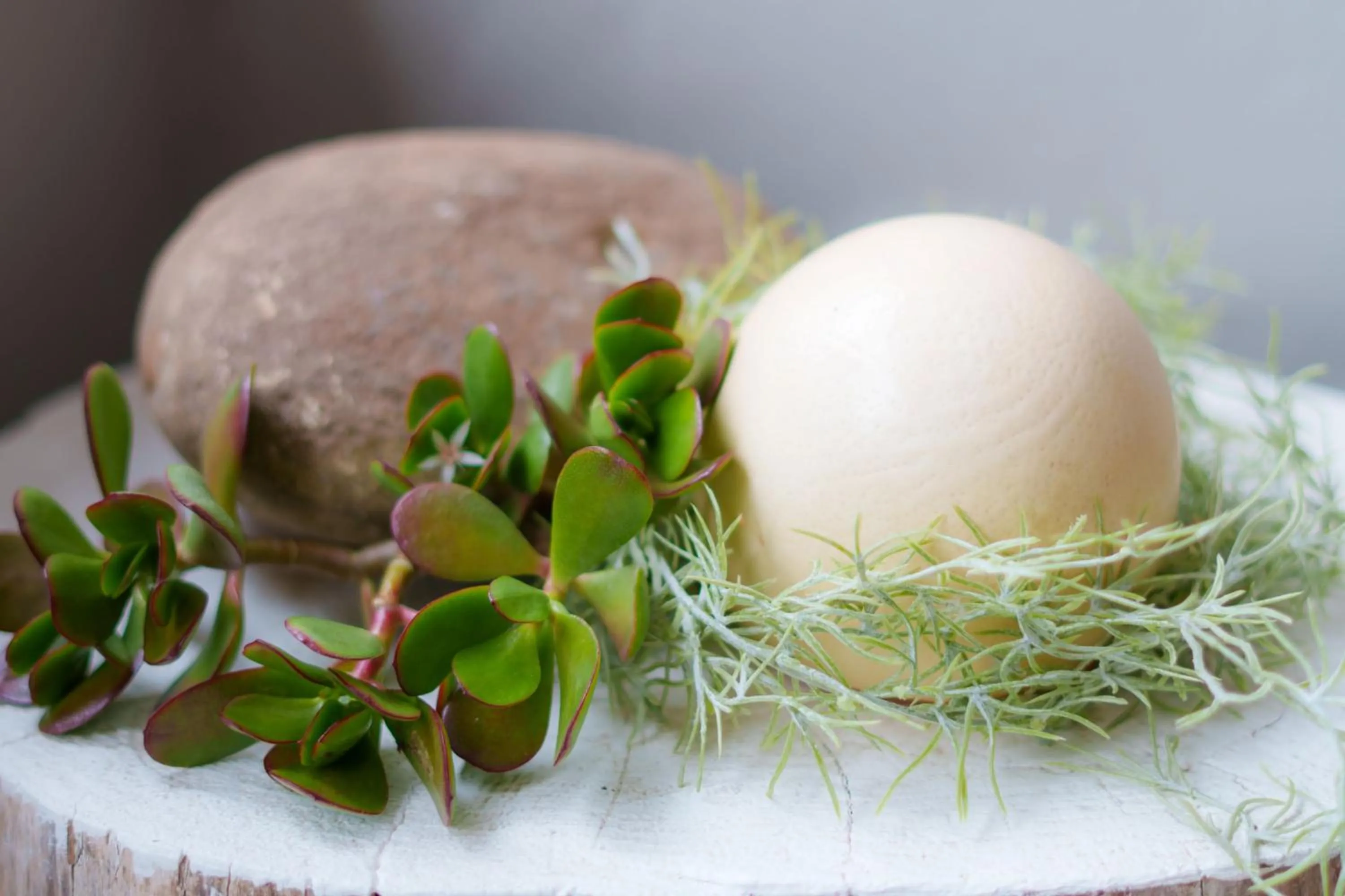 Decorative detail in De Akker Guest House Oudtshoorn