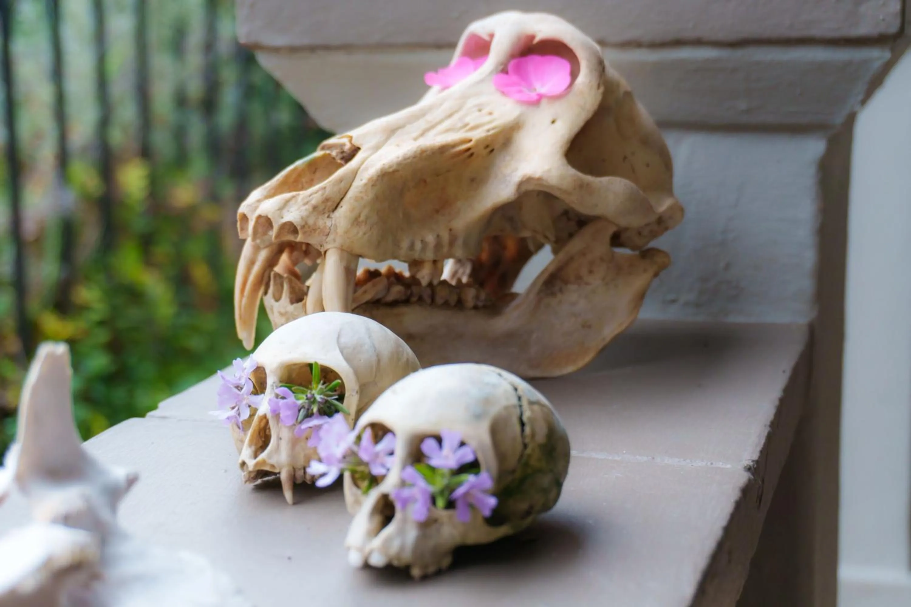 Decorative detail in De Akker Guest House Oudtshoorn