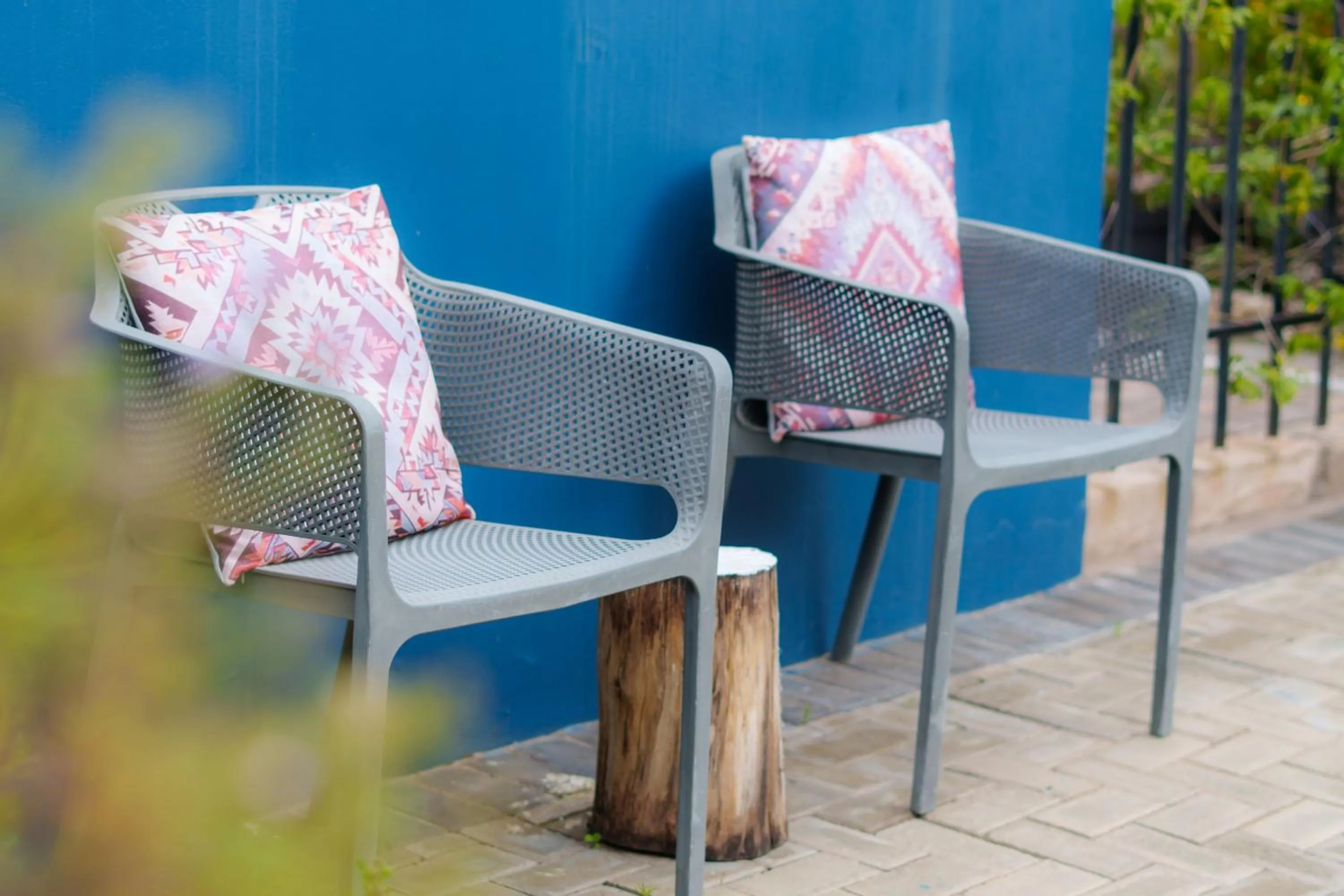 Swimming pool in De Akker Guest House Oudtshoorn