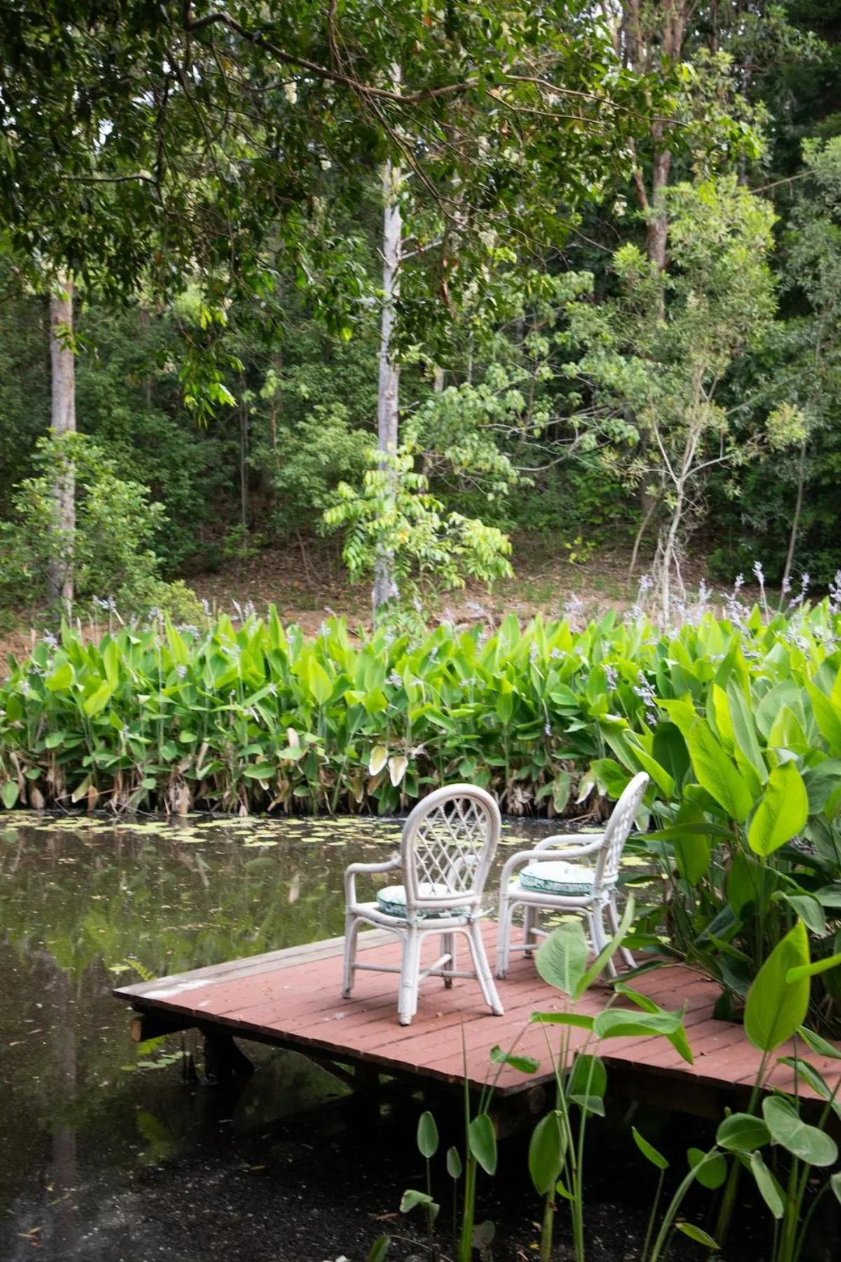 Magnolia Cottage