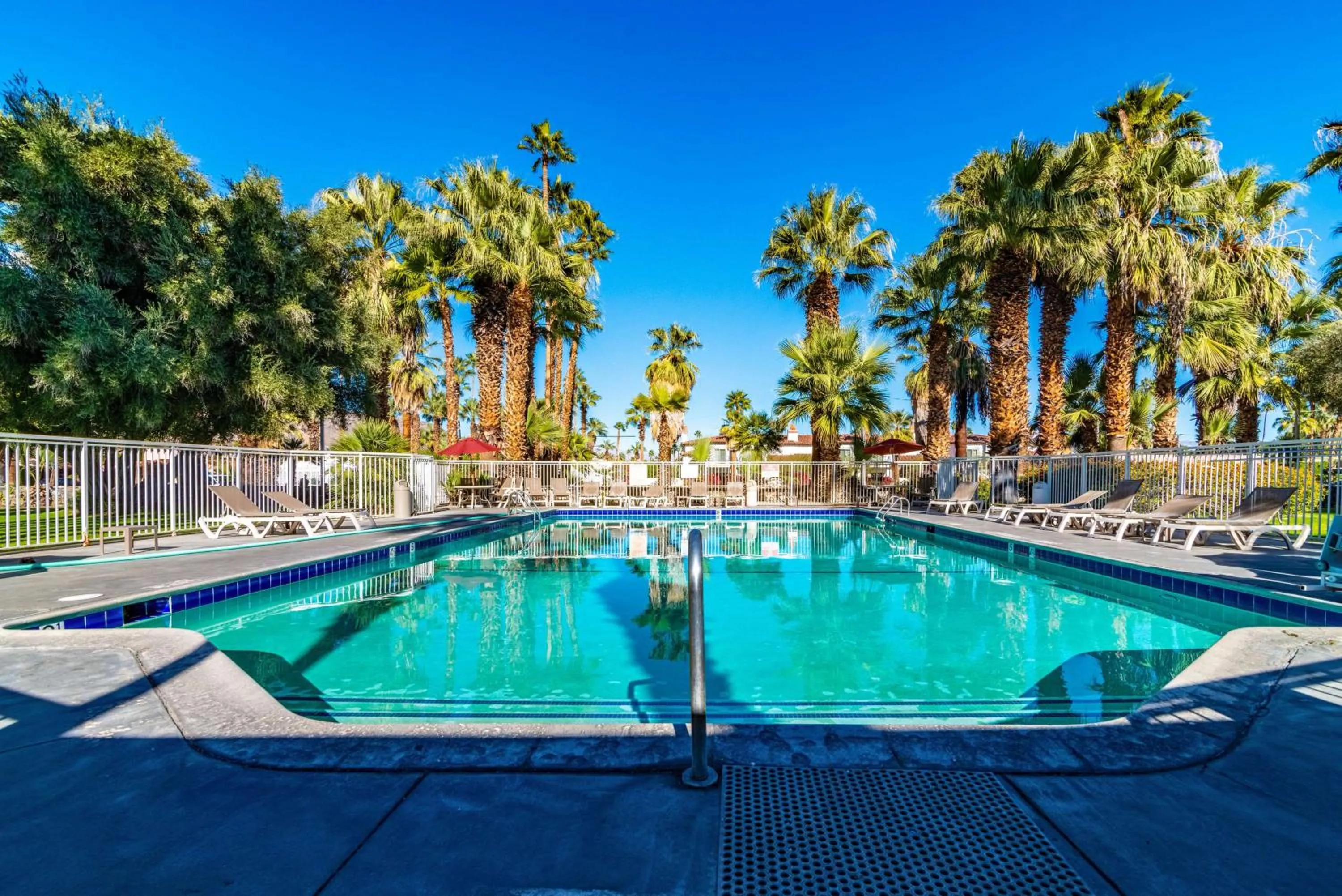 Pool view in Motel 6-Palm Springs, CA - East - Palm Canyon