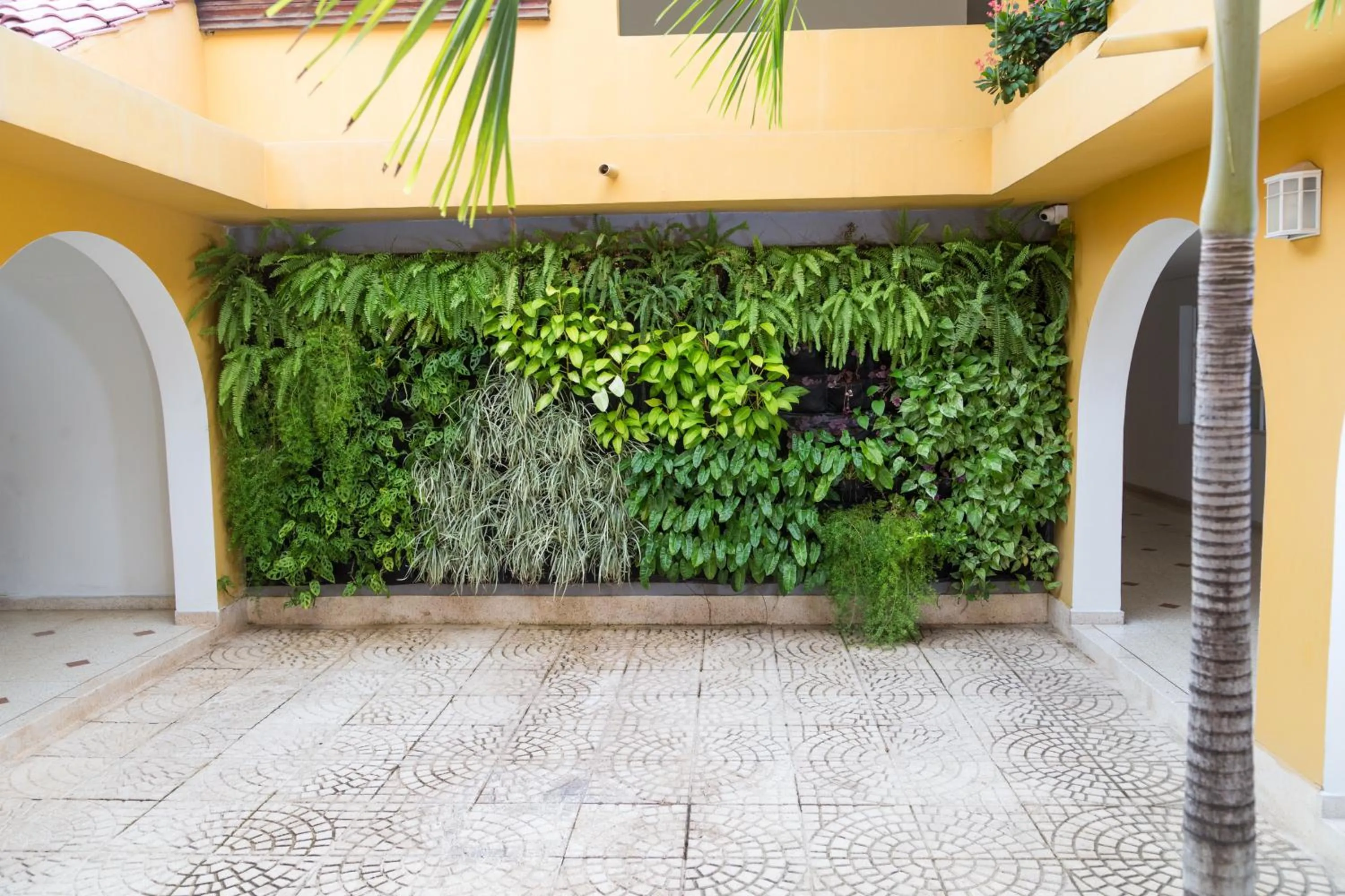 Patio in San Martin Cartagena