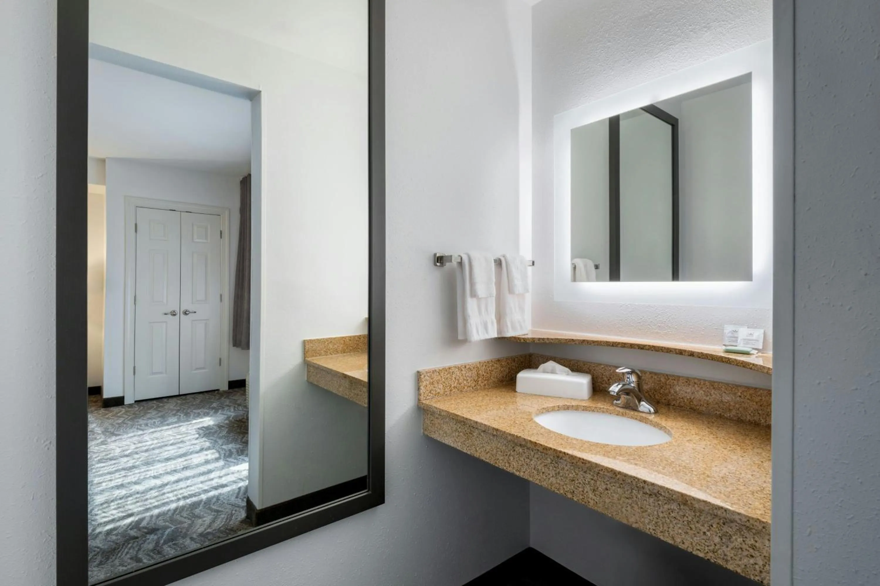 Bathroom in SpringHill Suites by Marriott Charleston North