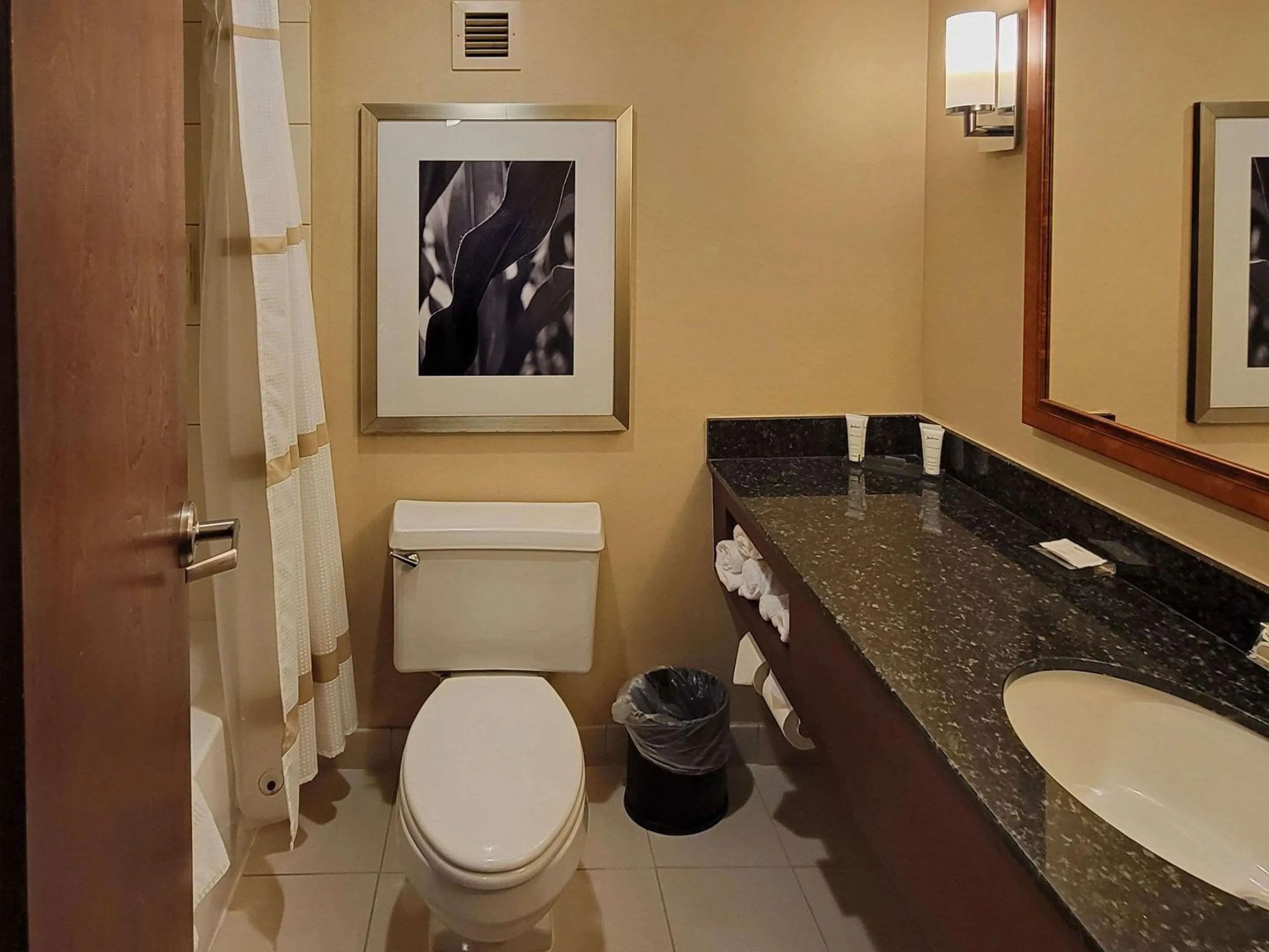 Bedroom in Radisson Hotel Cedar Rapids