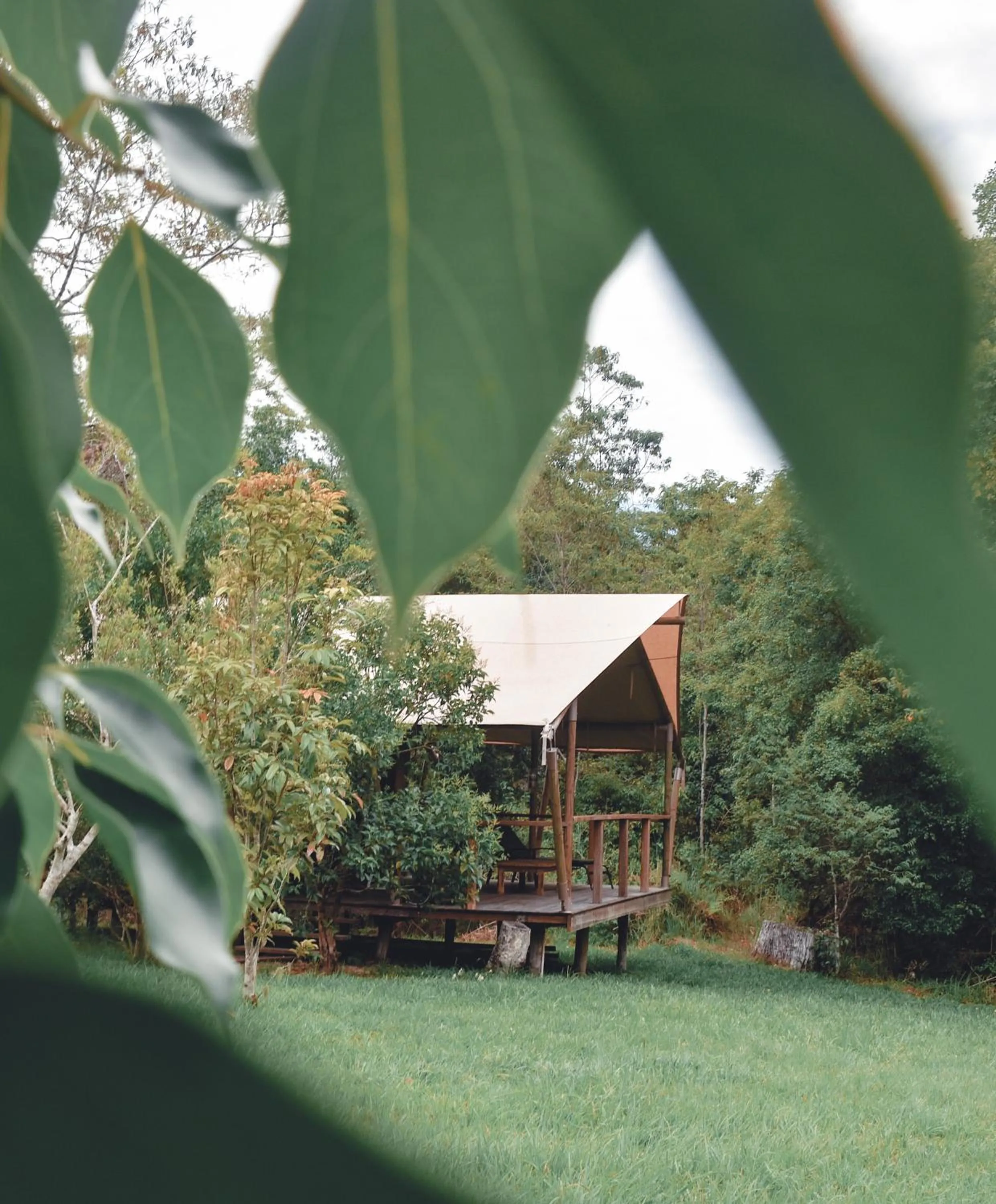 Garden in Silk Pavilions Glamping