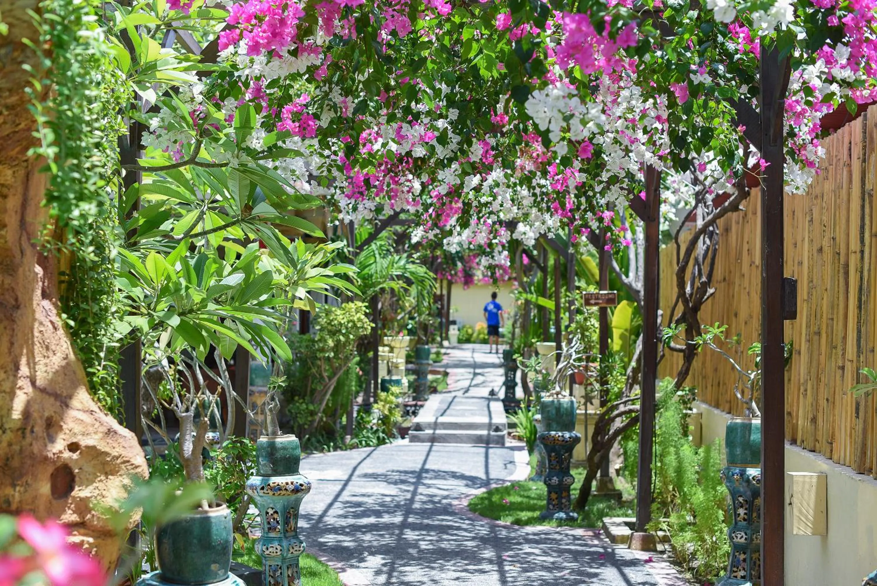 Day in Villa Almarik Resort