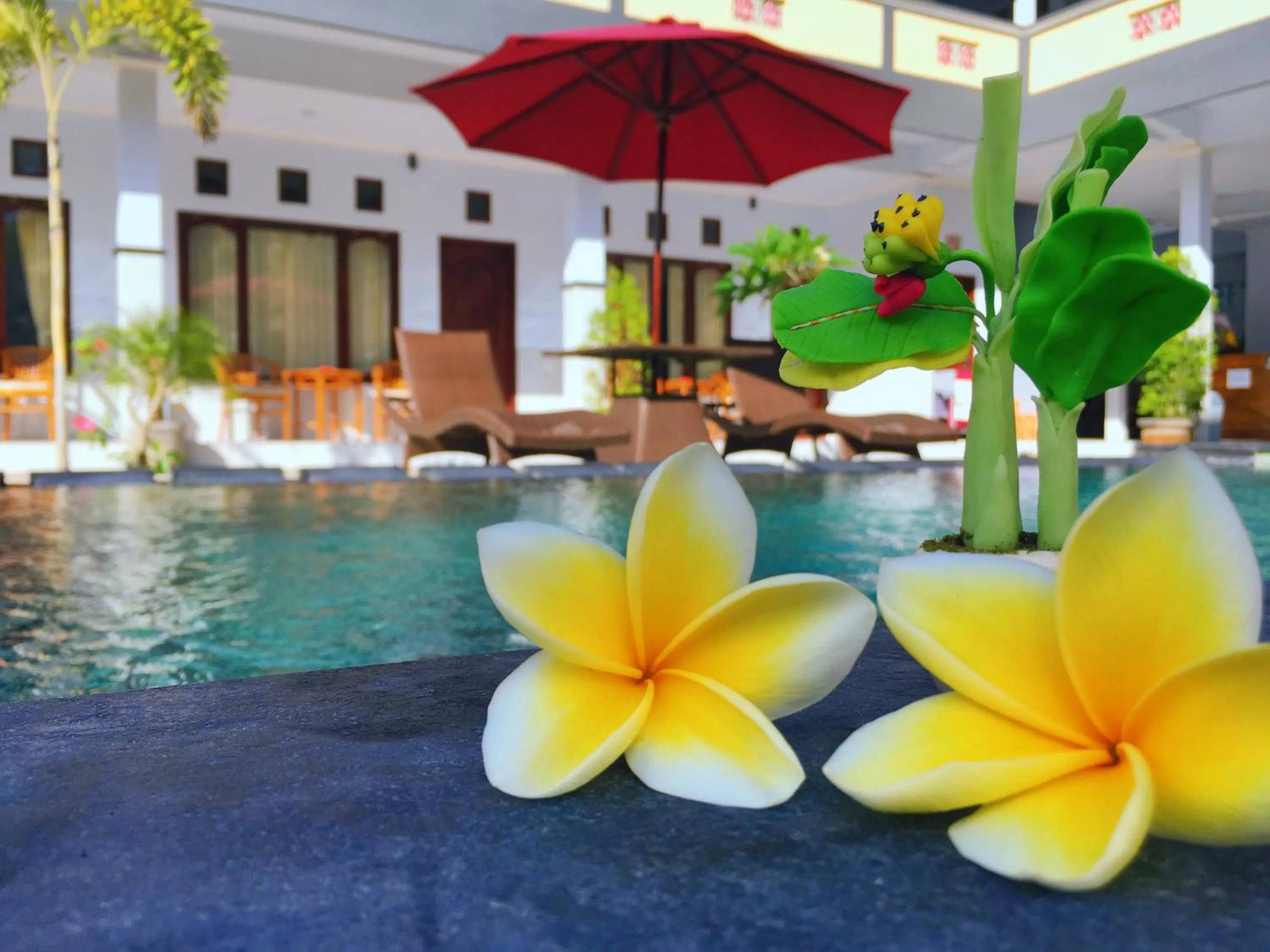 Garden in Serangan Inn Mimba