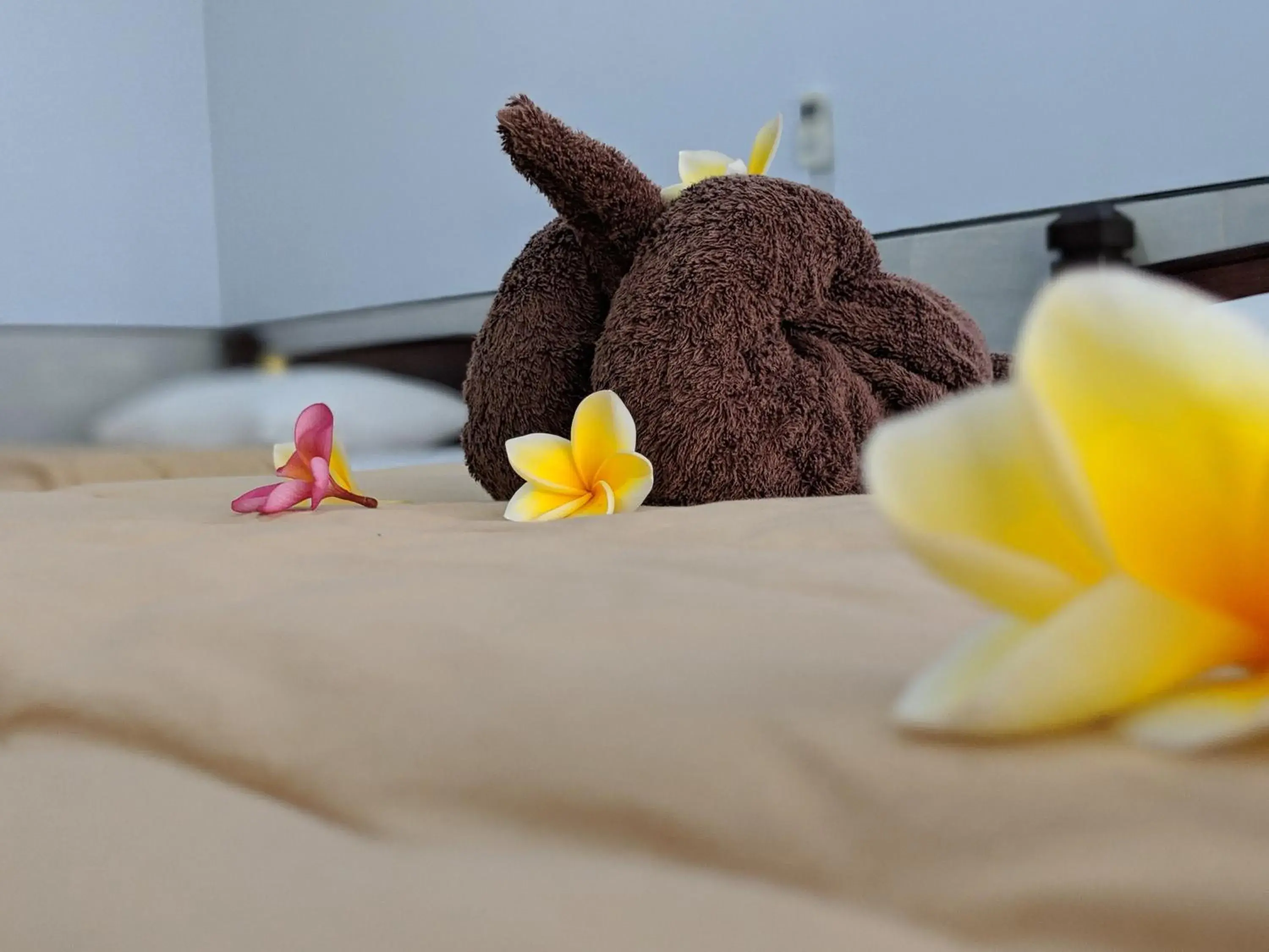 Deluxe Twin Room in Serangan Inn Mimba Deluxe Twin Room in Serangan Inn Mimba