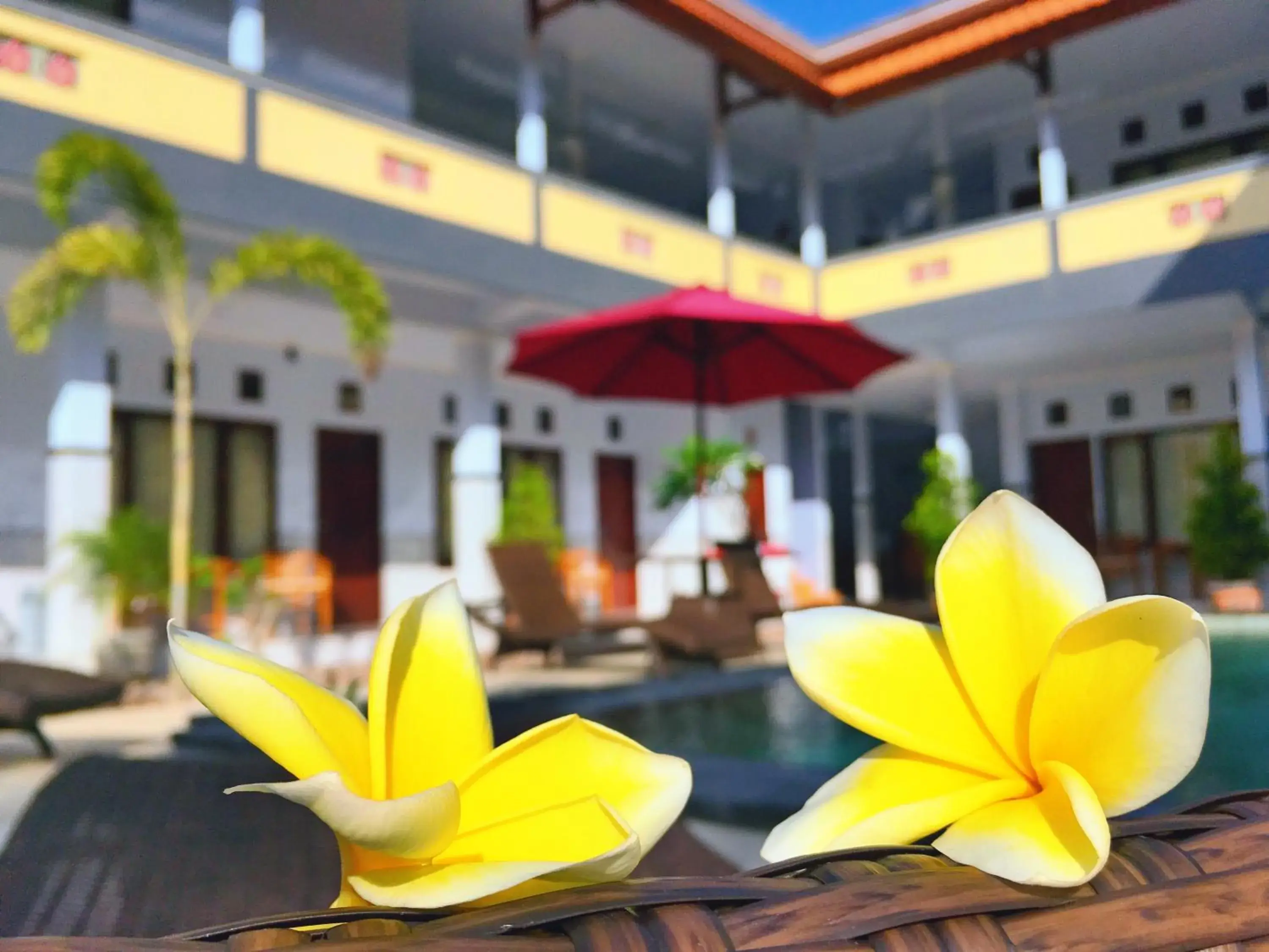 Deluxe Twin Room in Serangan Inn Mimba Deluxe Twin Room in Serangan Inn Mimba