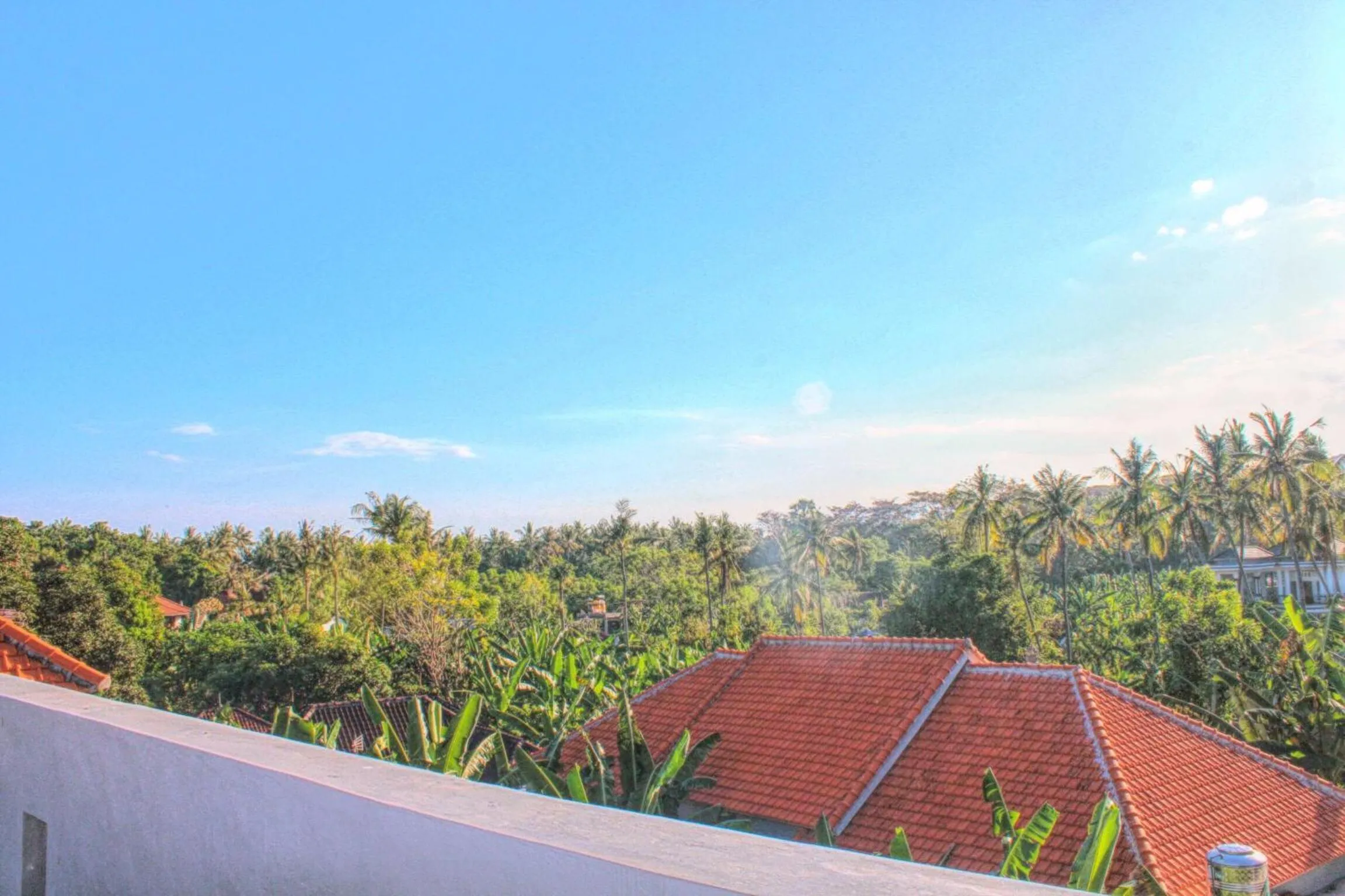 Natural landscape in Serangan Inn Mimba