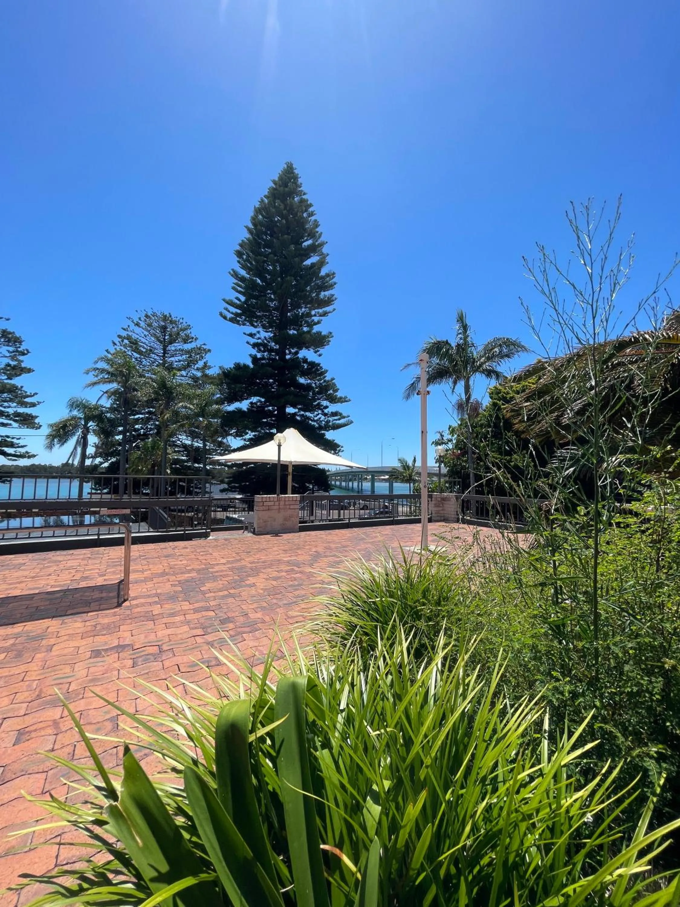Natural landscape in El Lago Waters Hotel