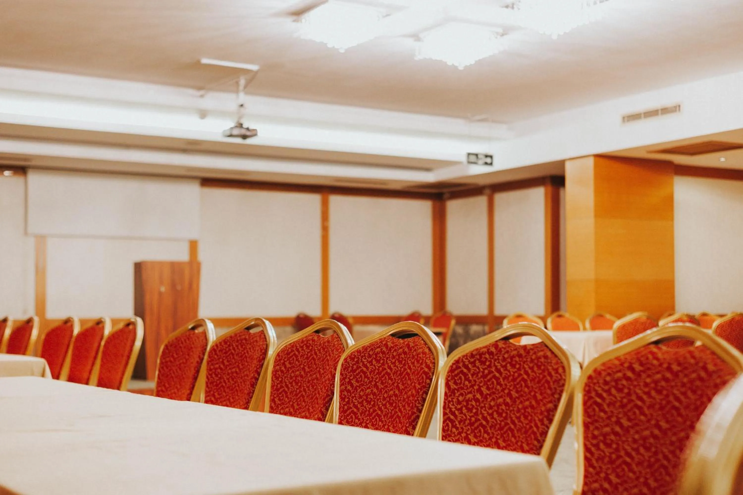 Meeting/conference room in Nüzhet Hotel