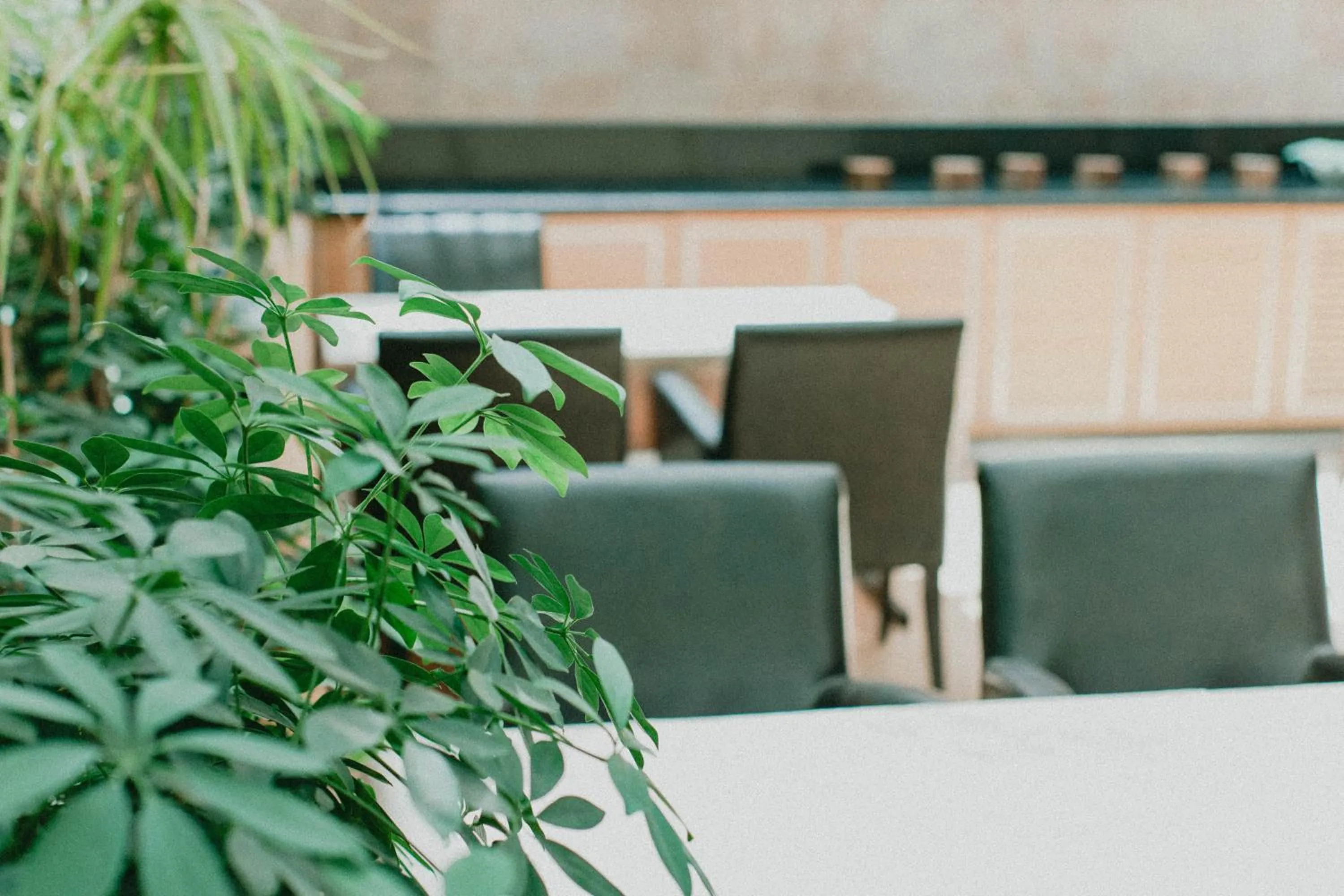 Restaurant/places to eat in Nüzhet Hotel